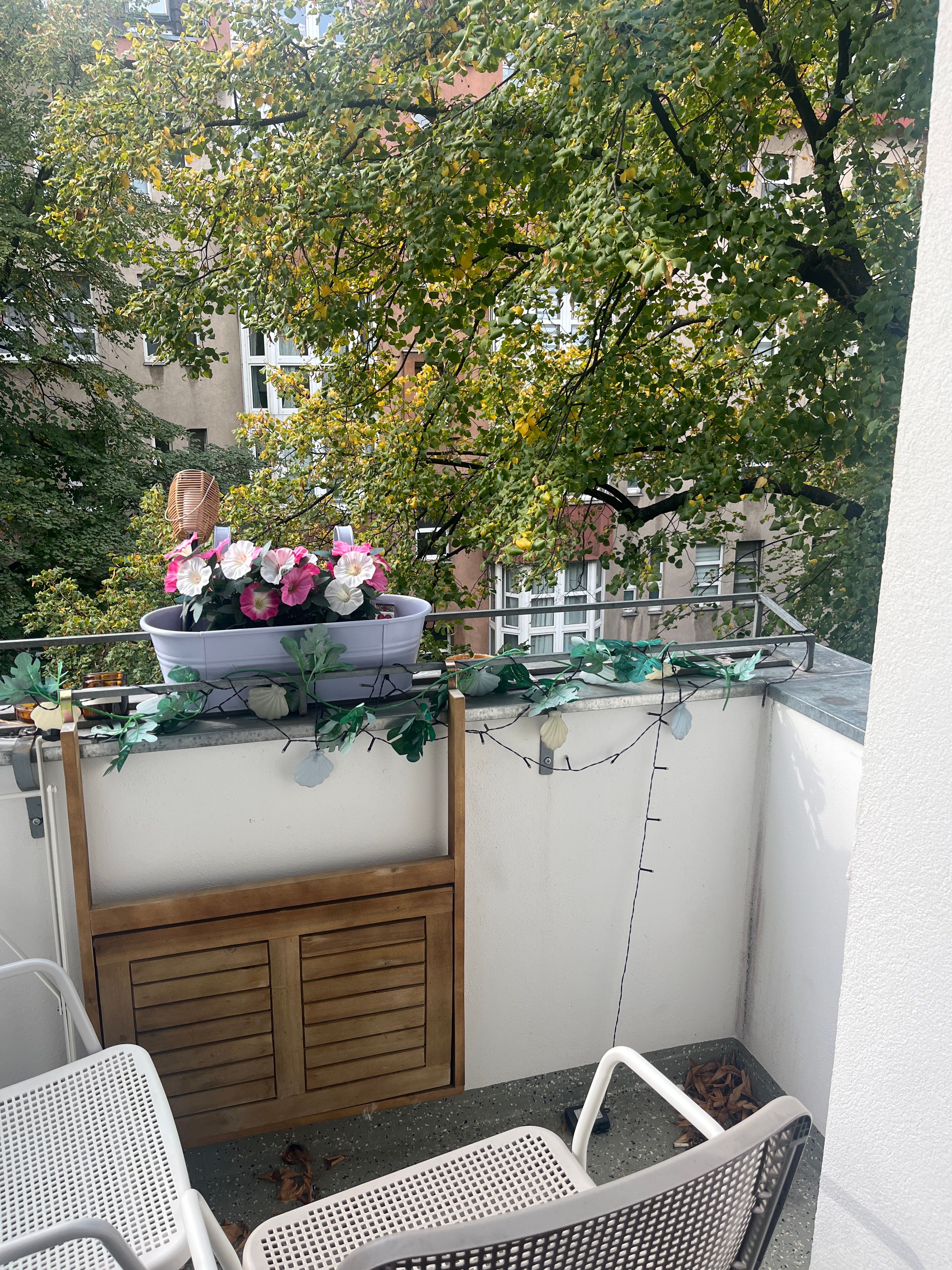 image-20