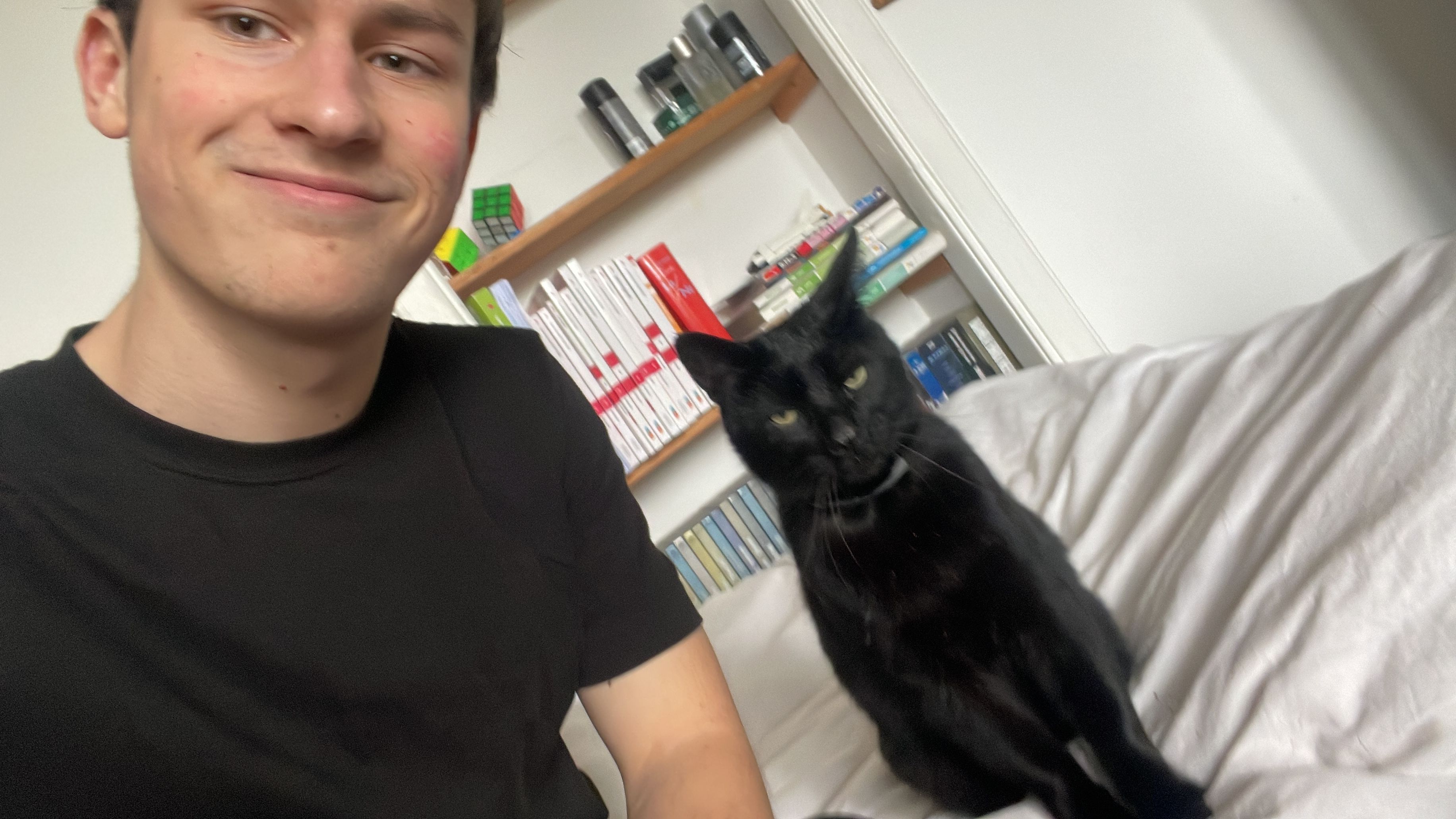 image-3