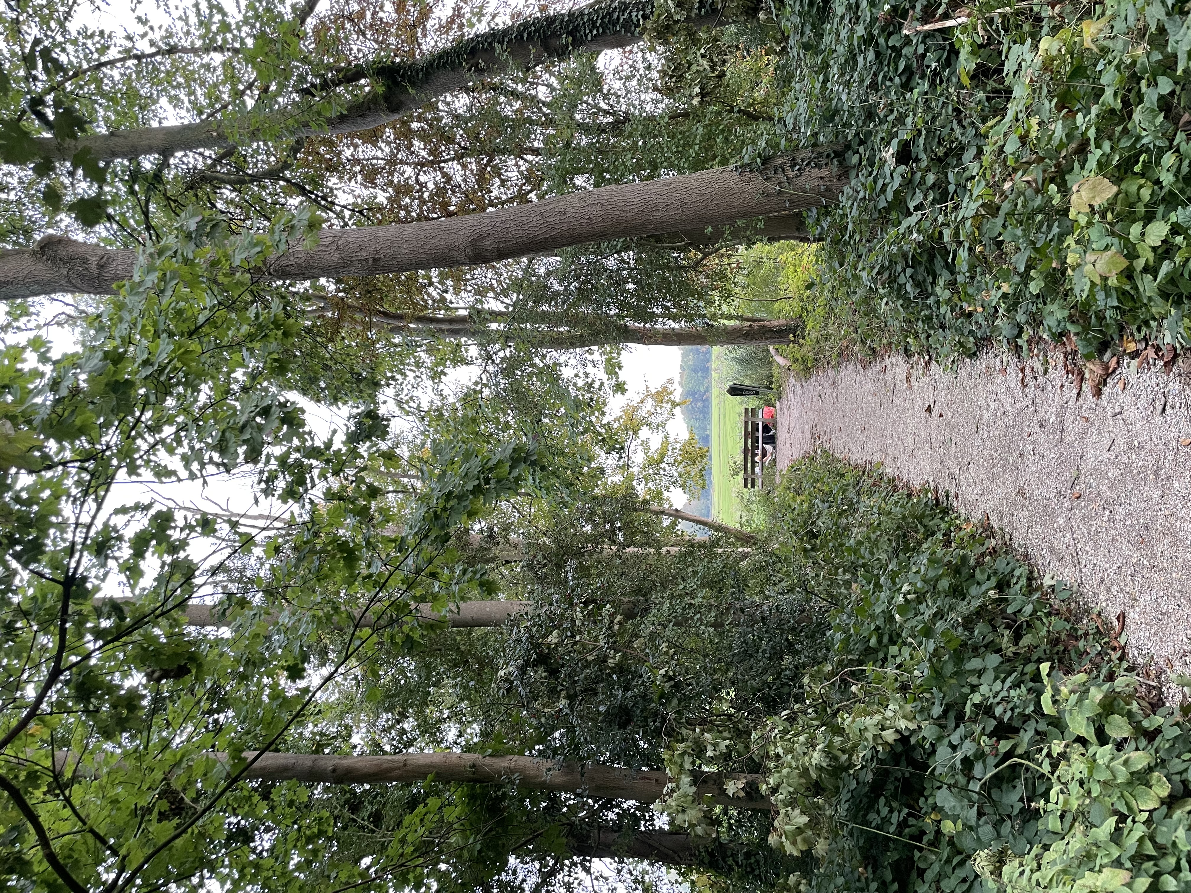 image-14