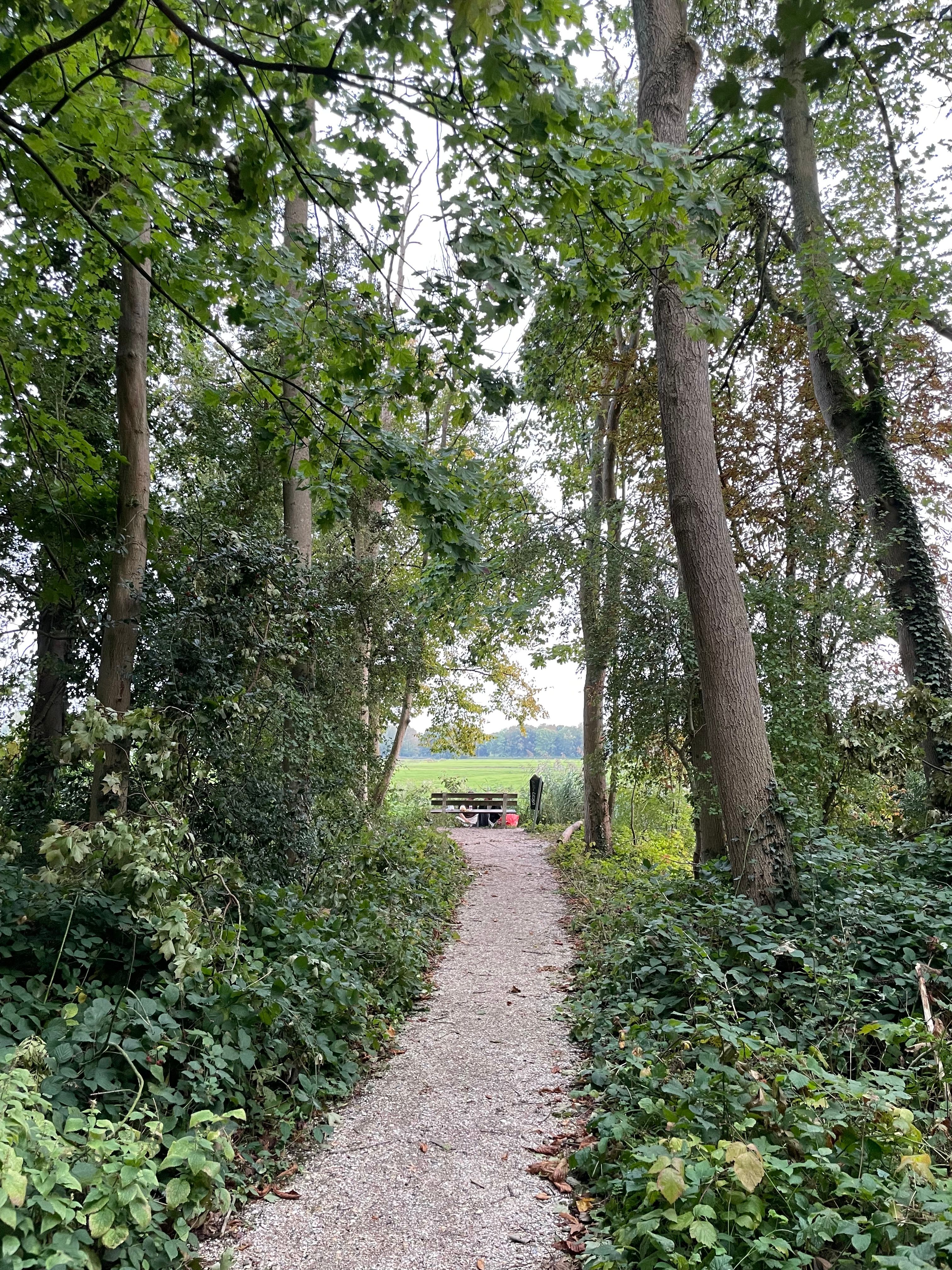 image-14