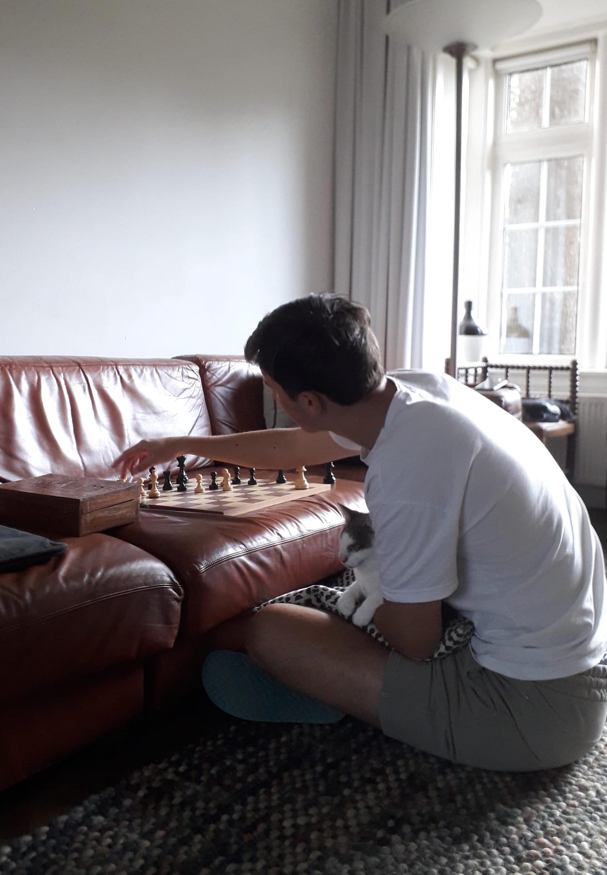 image-9