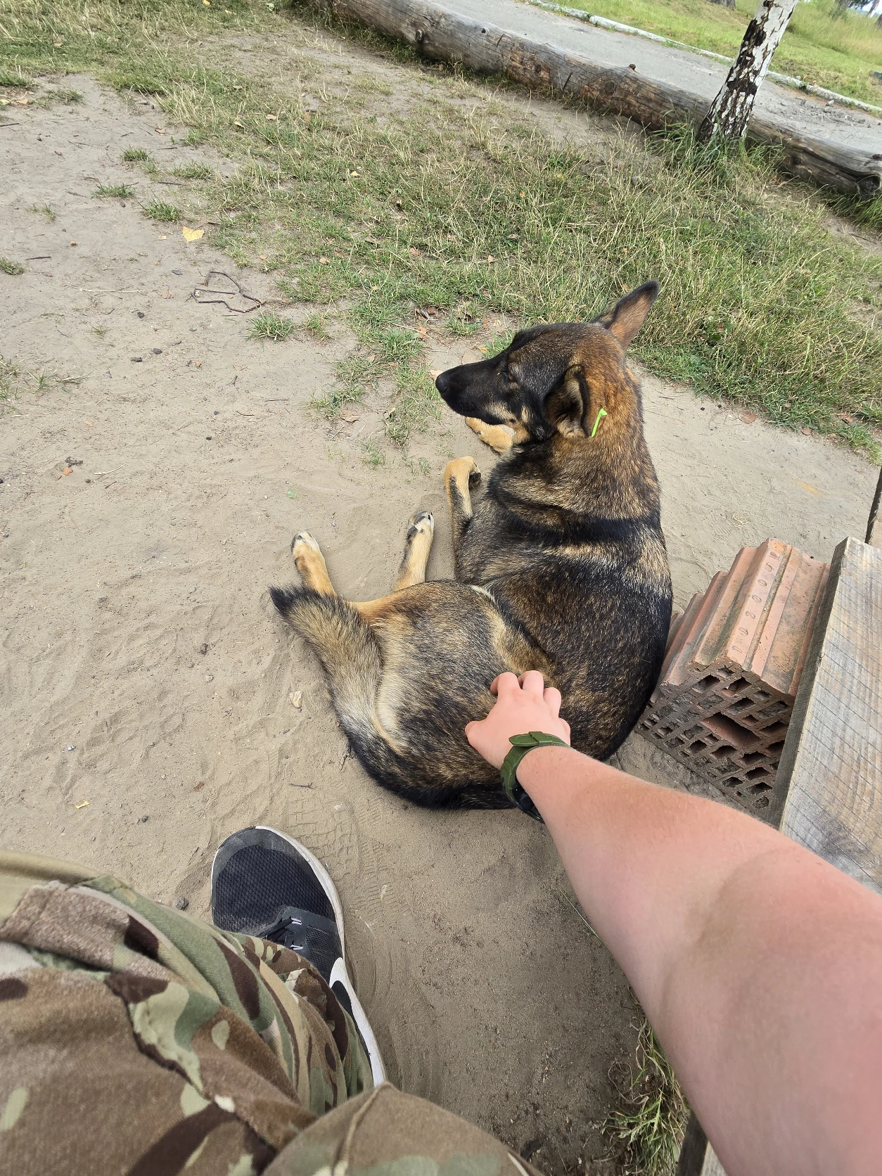 image-6