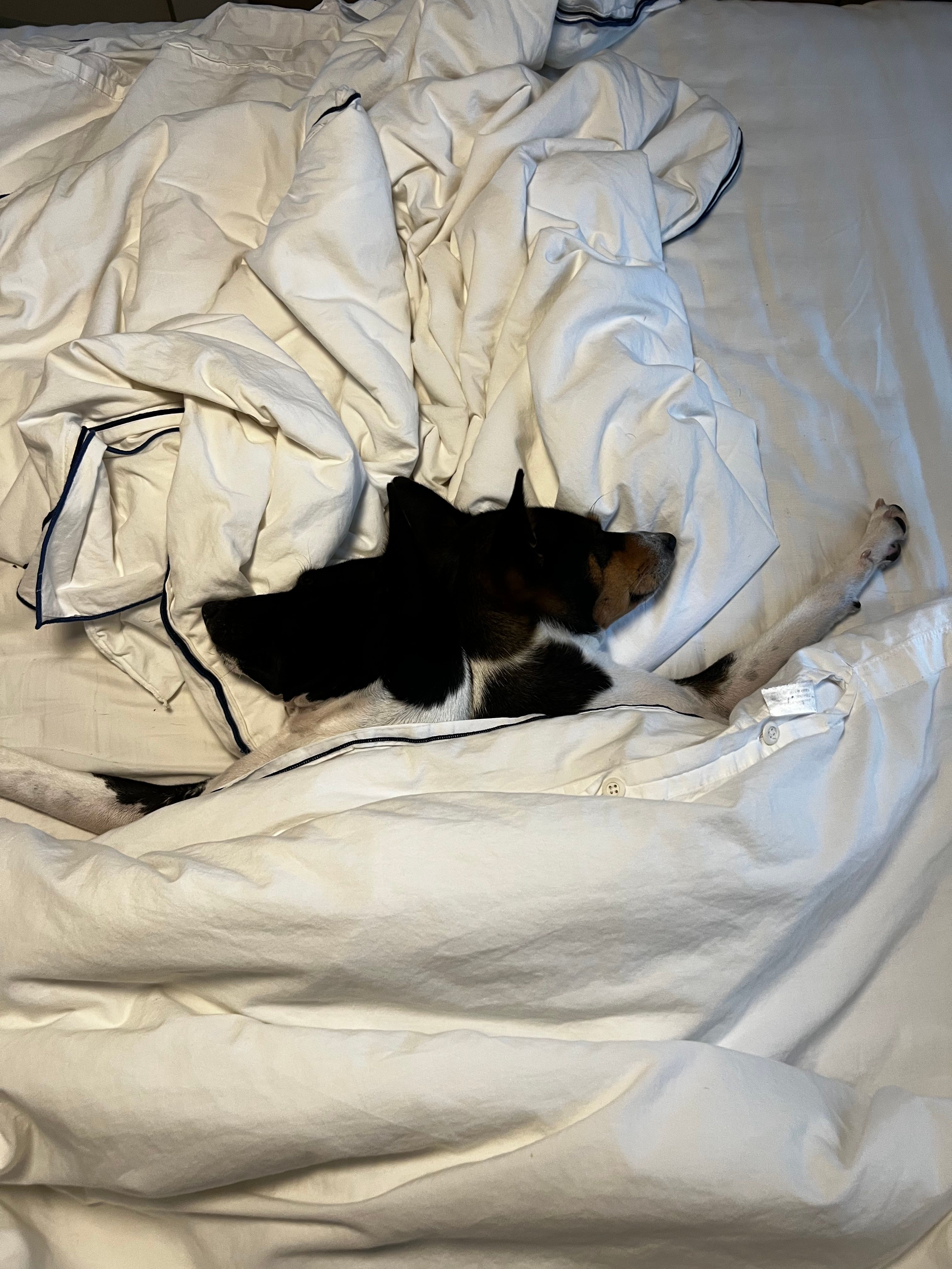 image-5