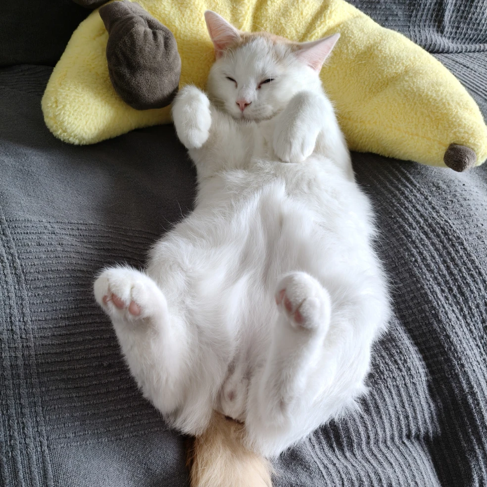 pilvi