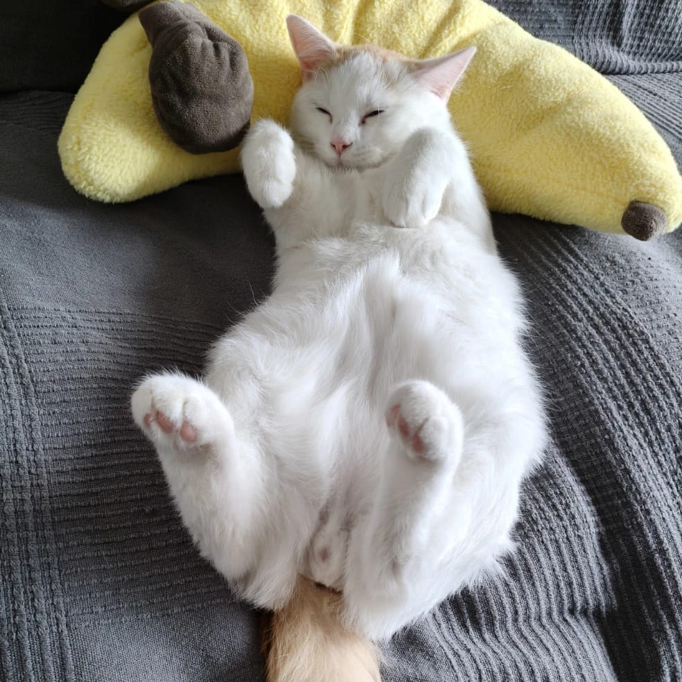 pilvi