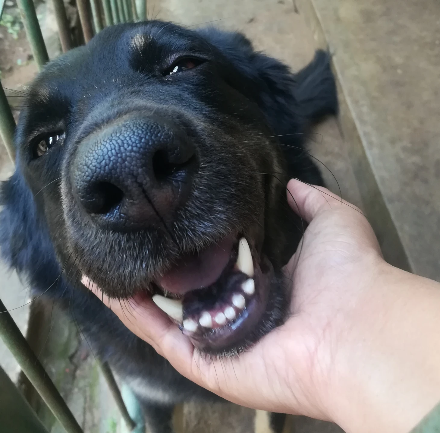 image-0