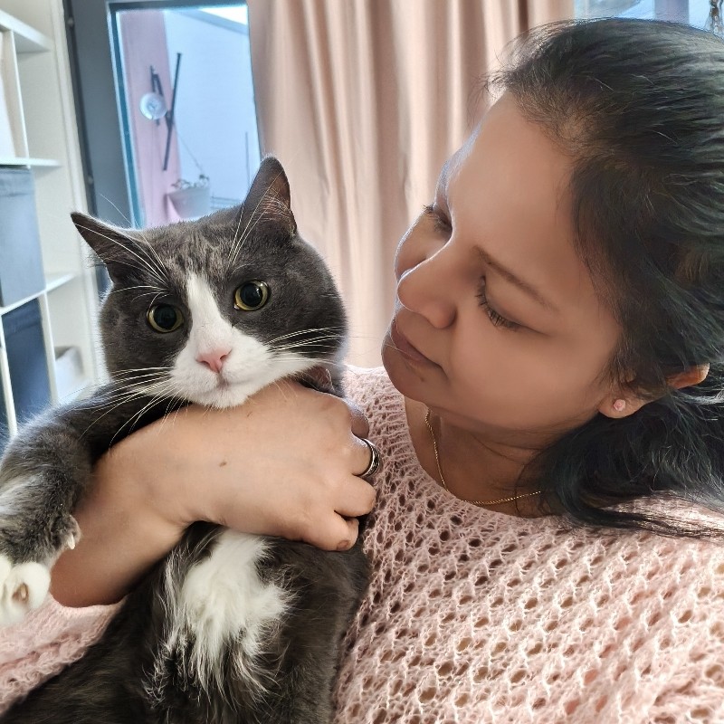 Amani