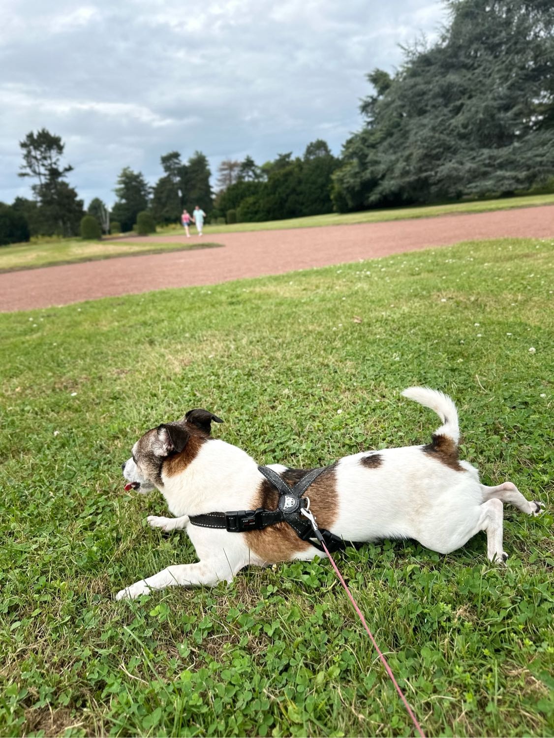 image-12