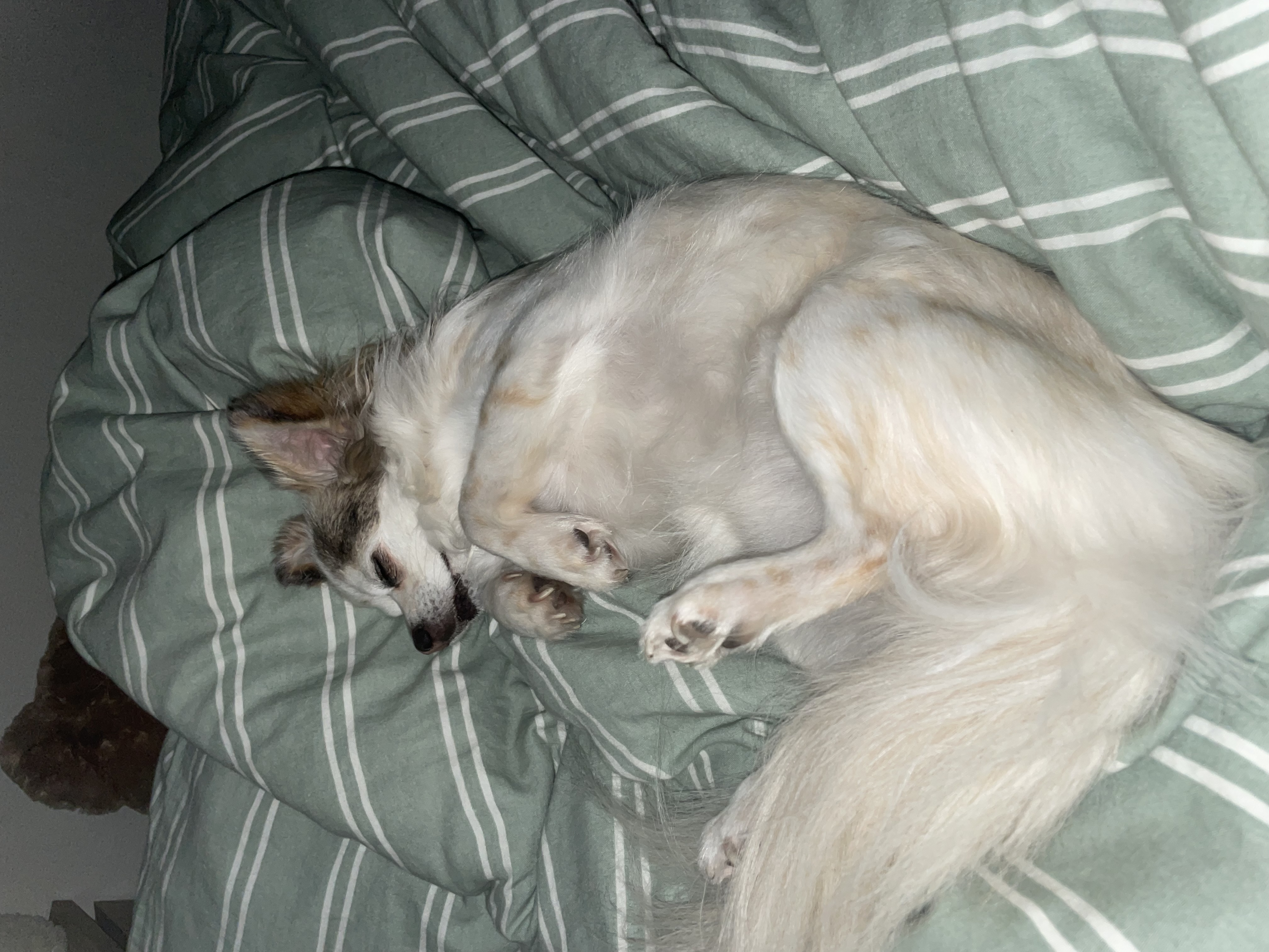 image-11