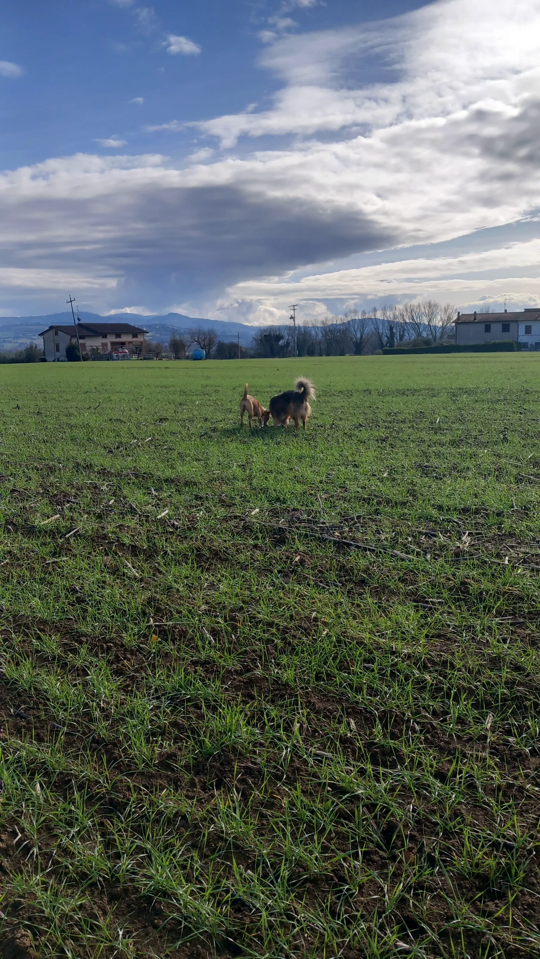 image-17
