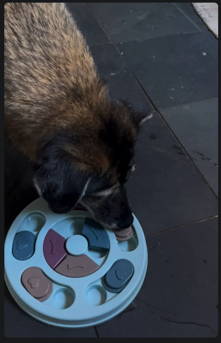 image-6