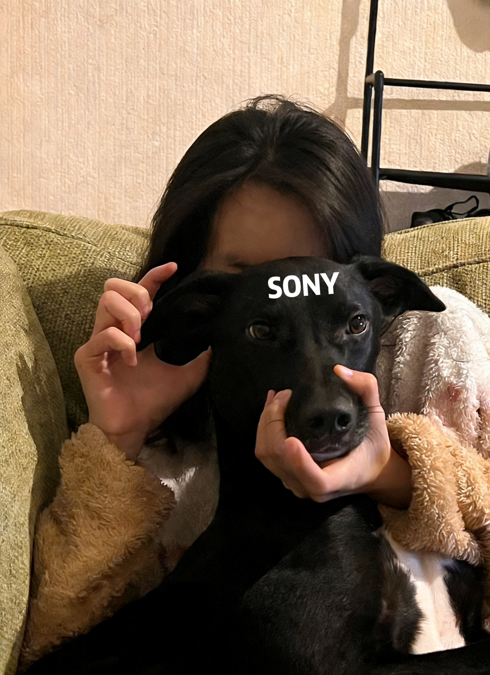 image-9