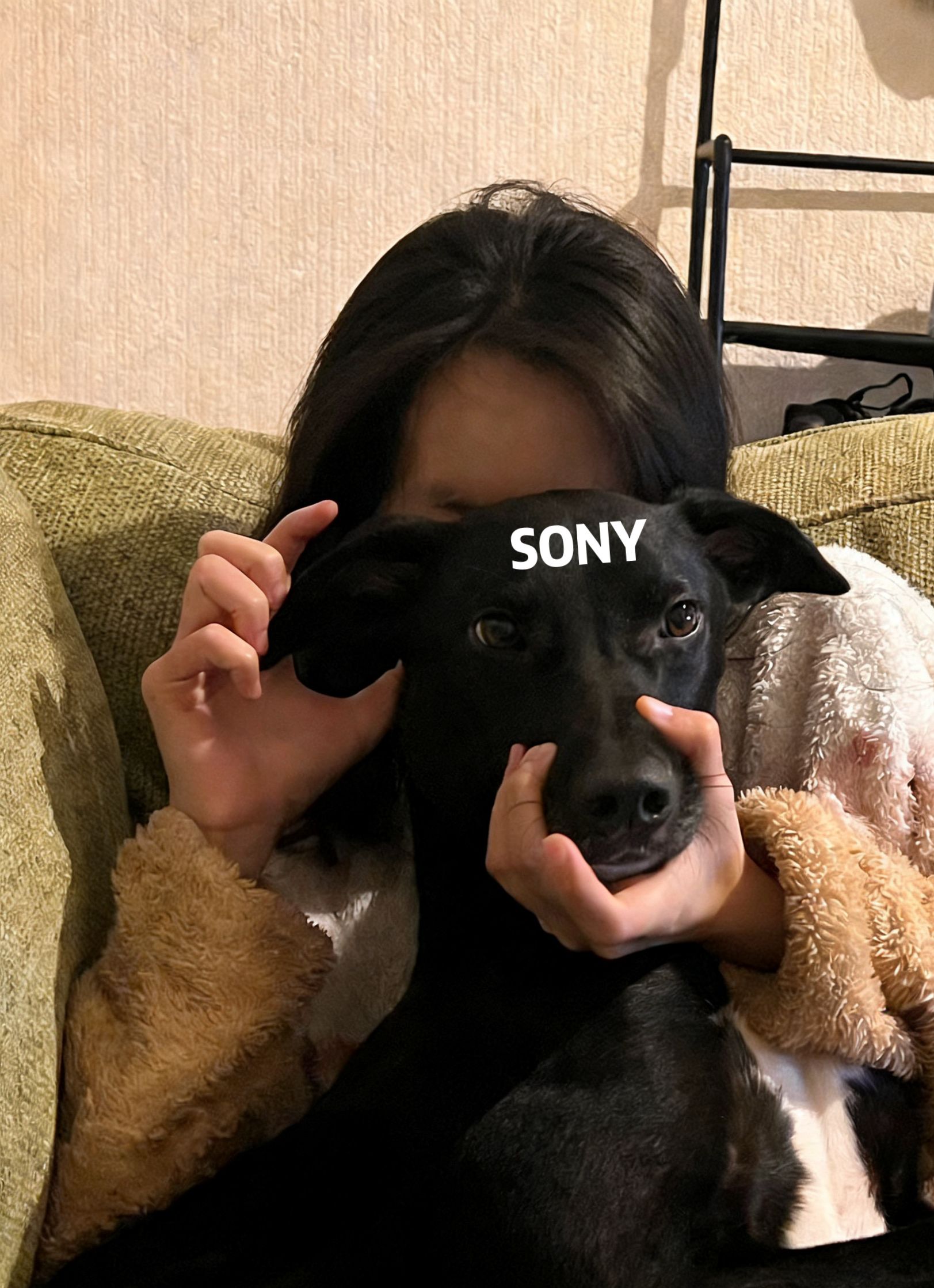 image-9