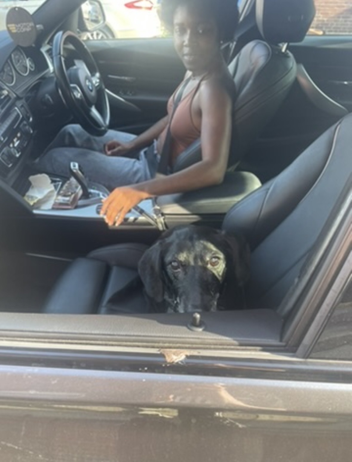 image-7