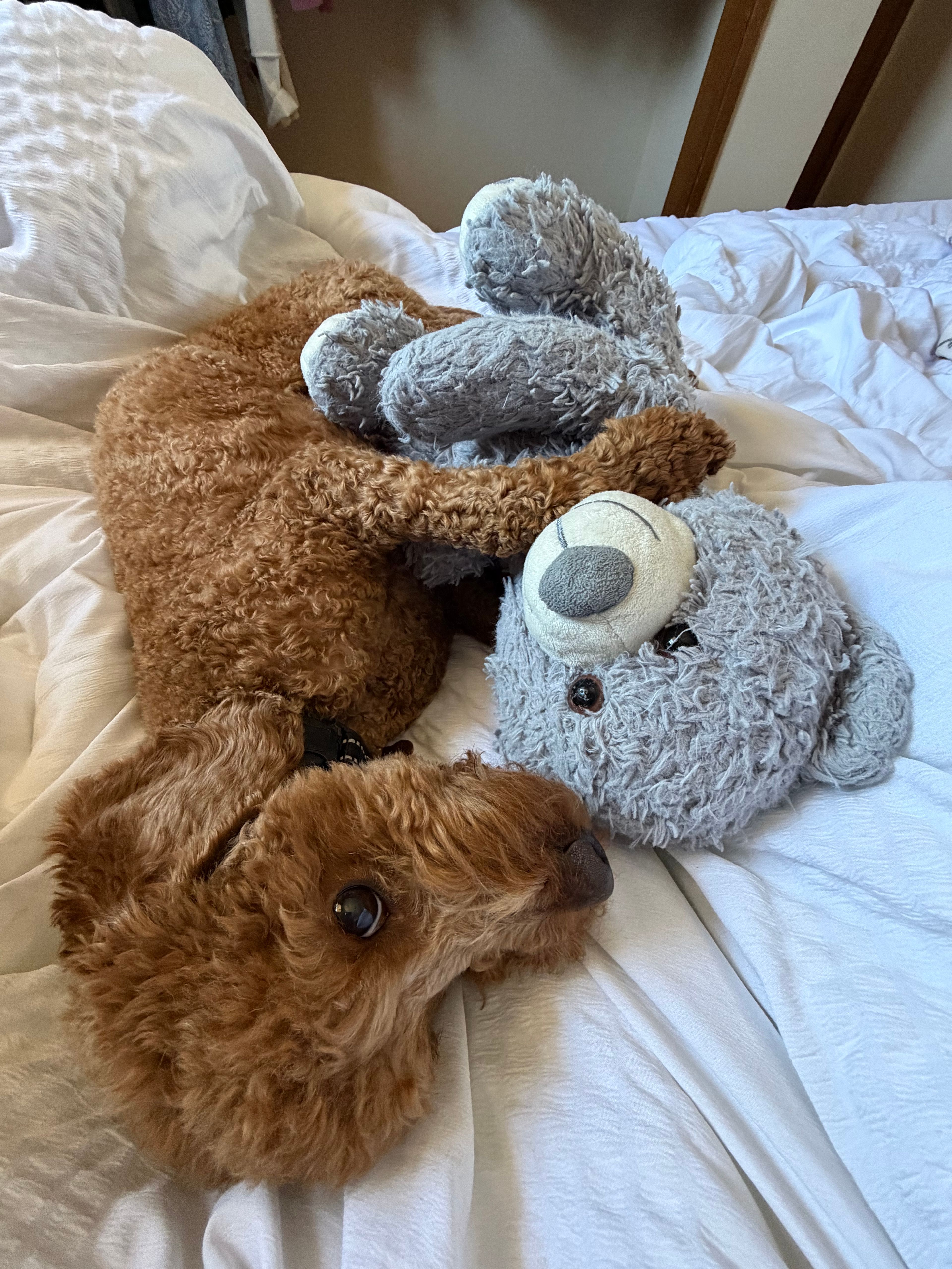 image-8