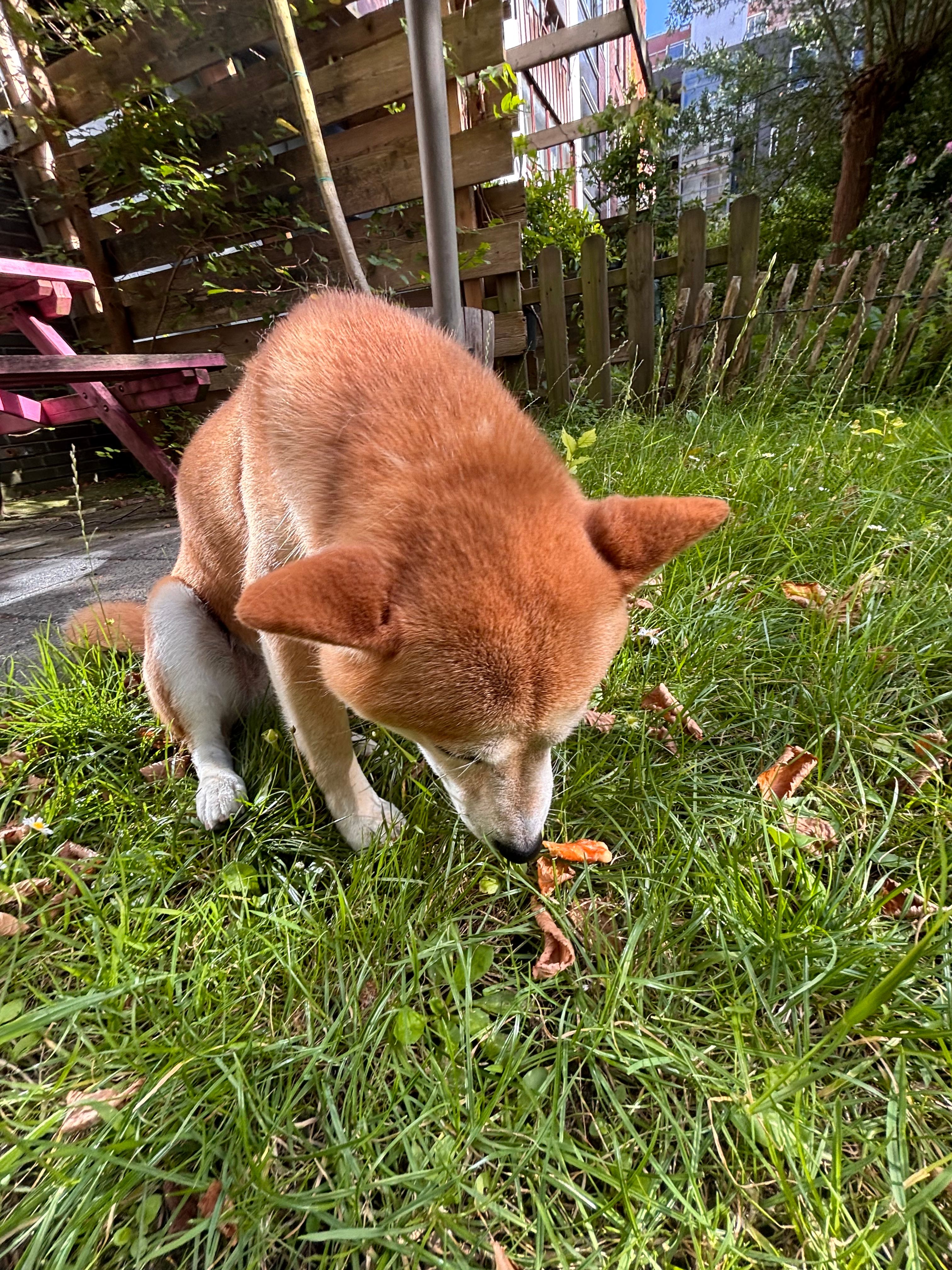 image-11