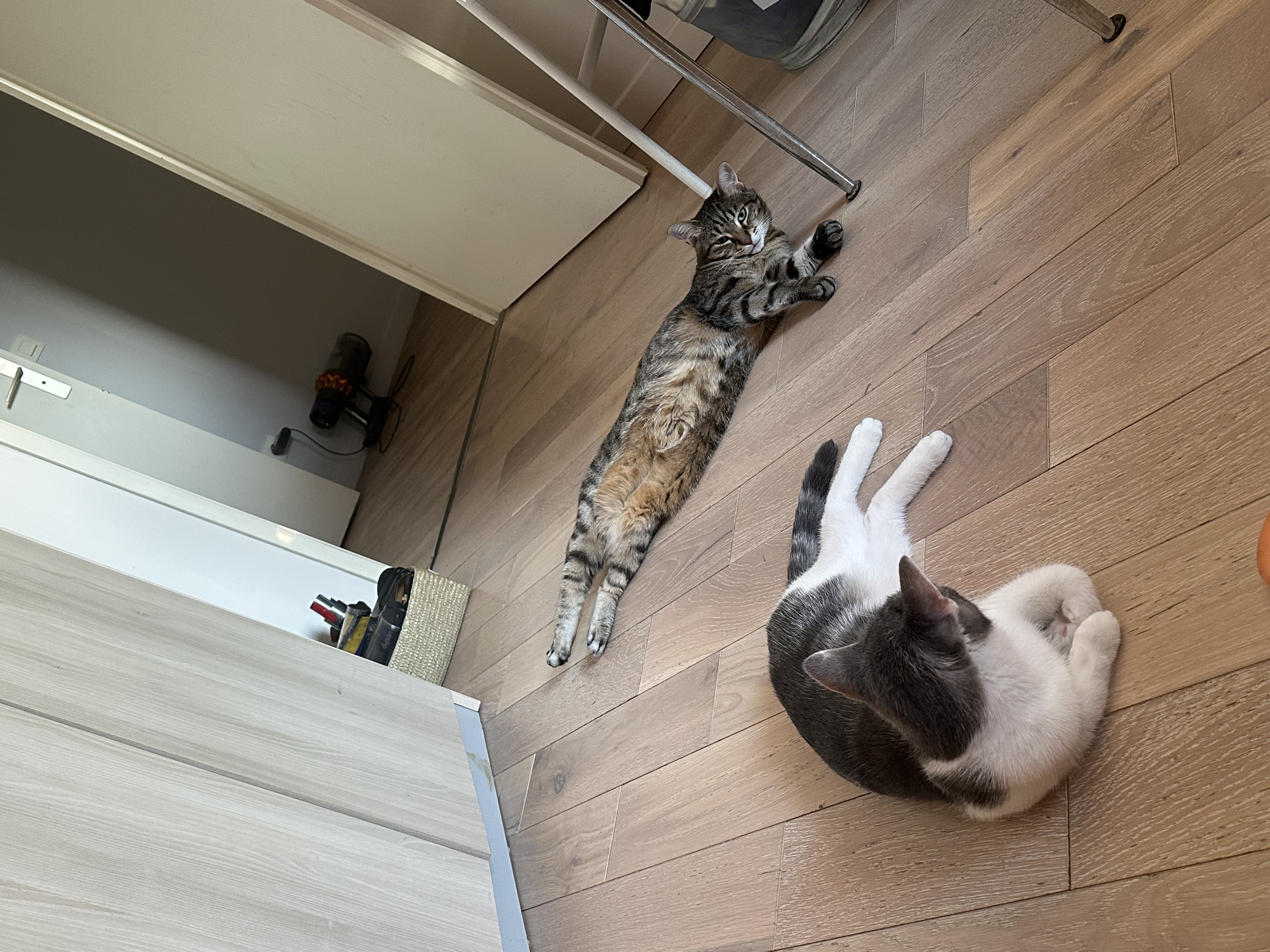 image-11