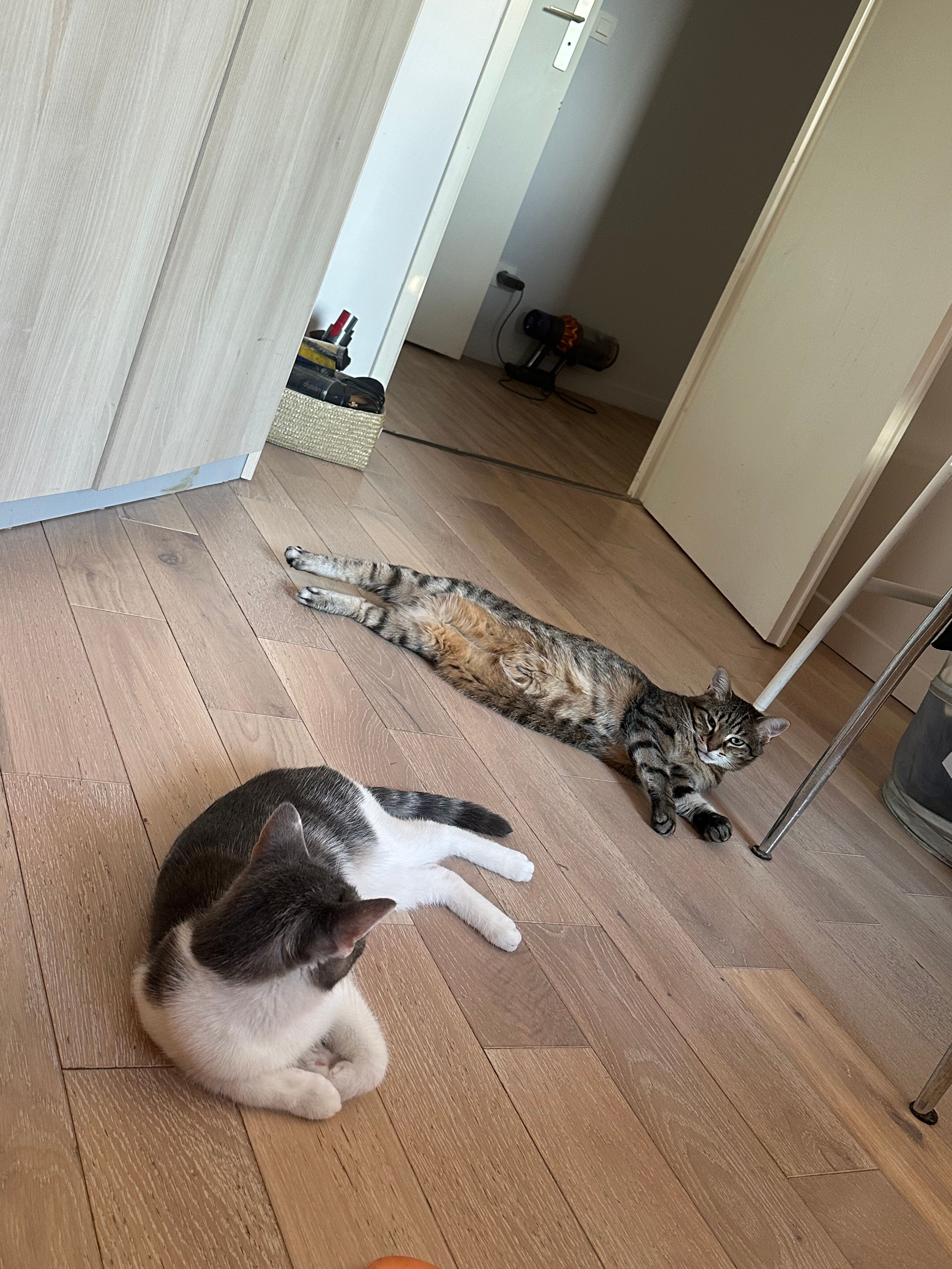 image-11