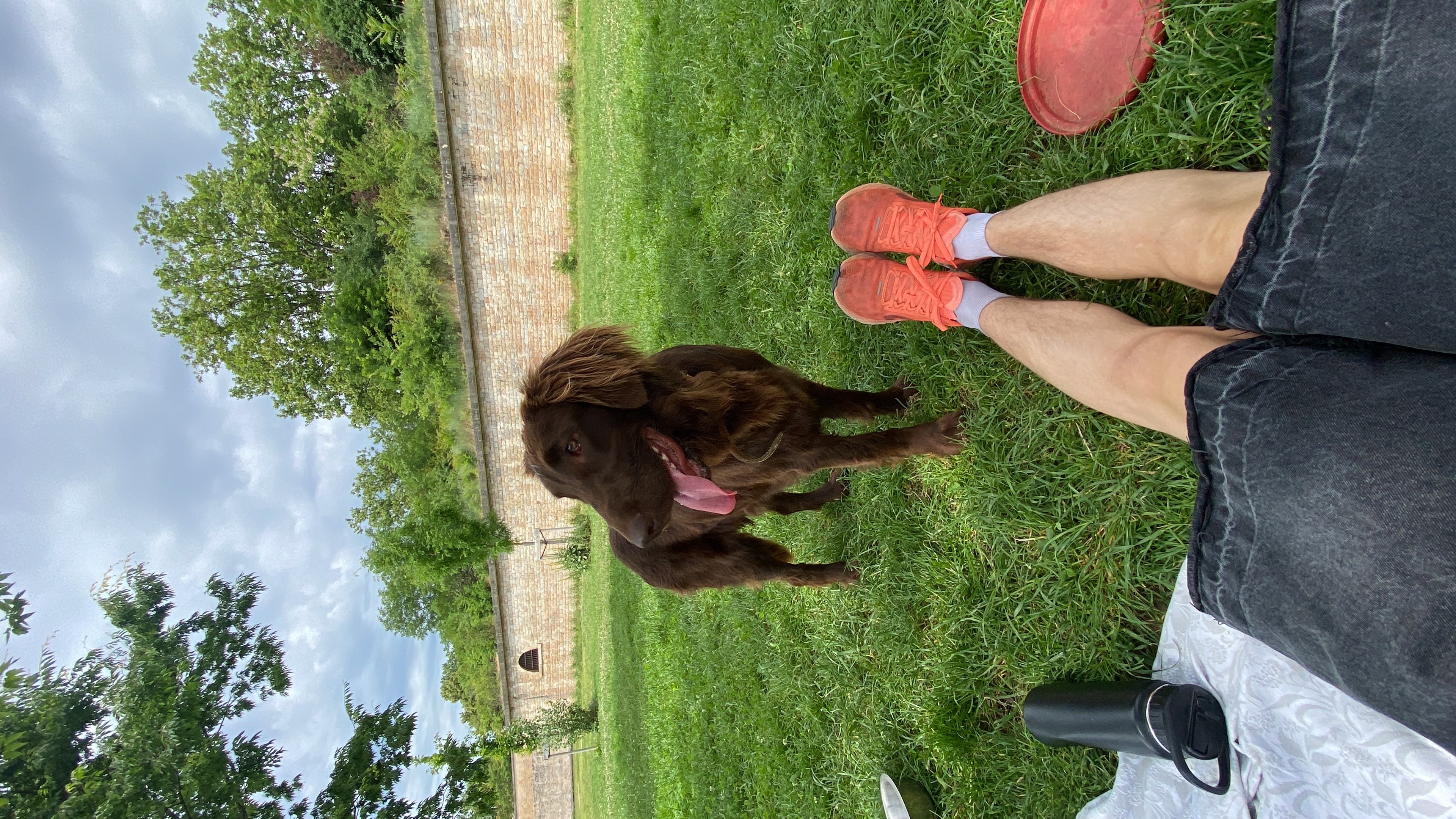 image-6