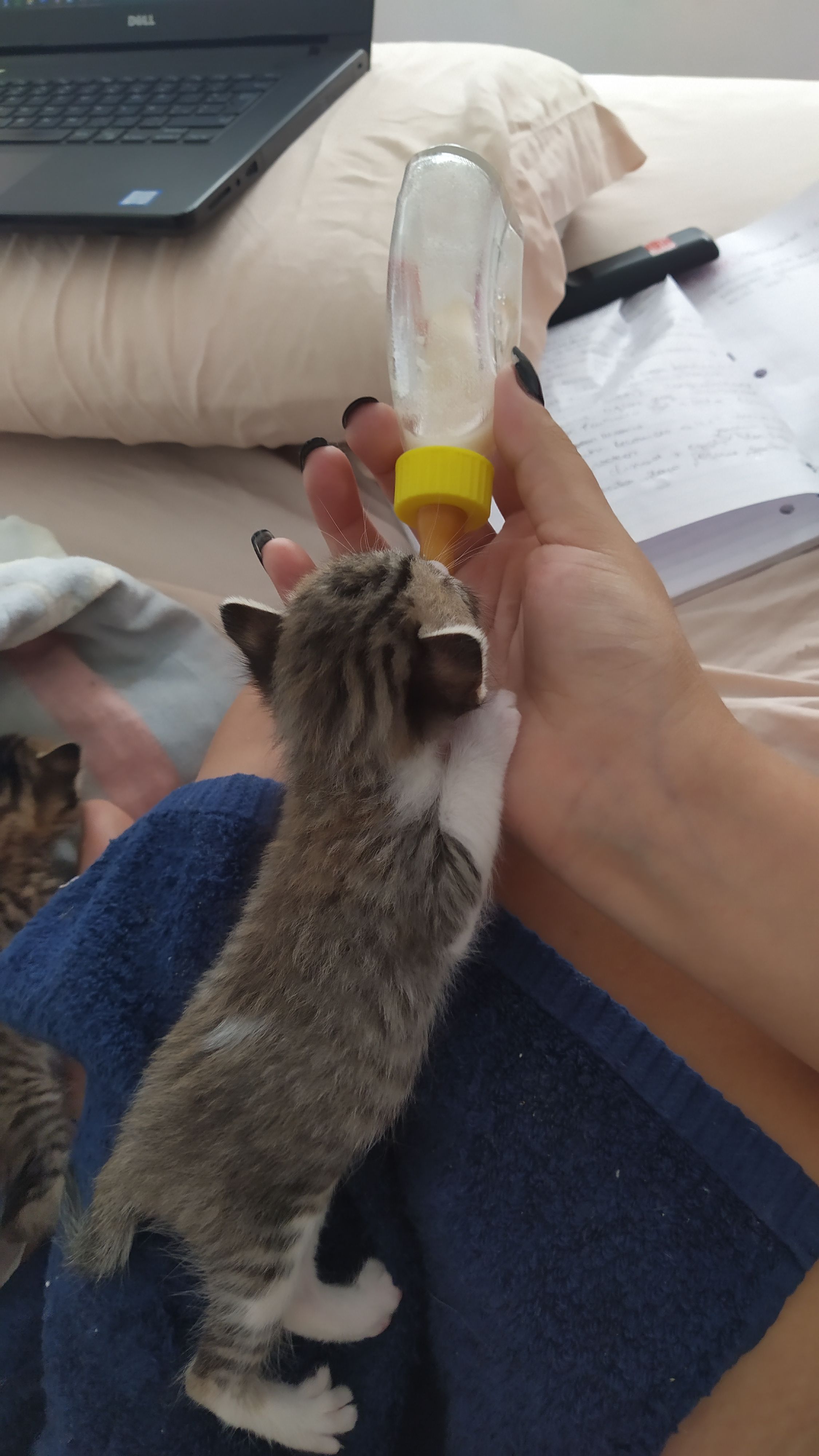 image-8