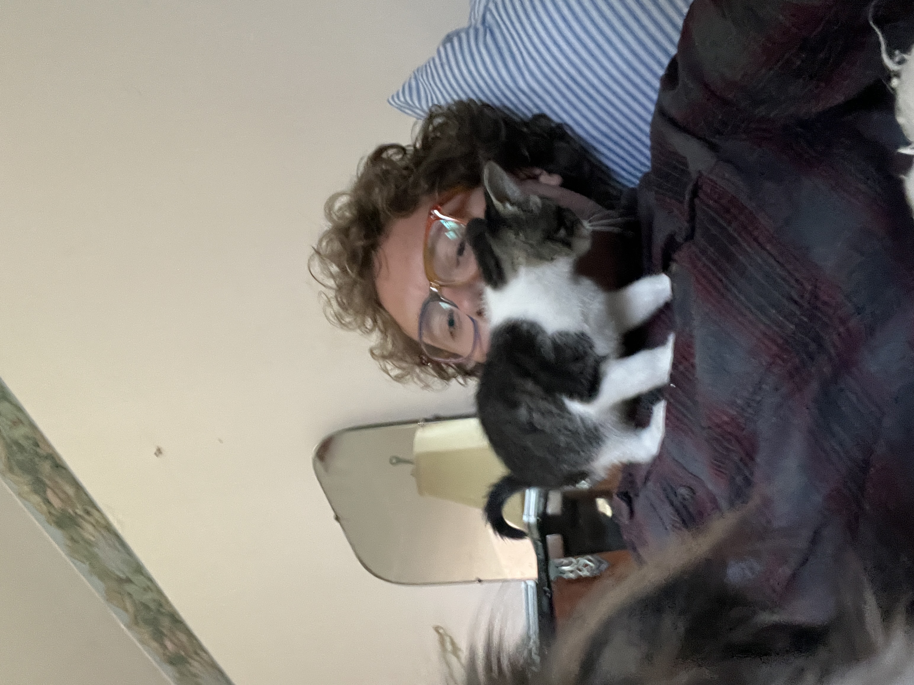 image-4