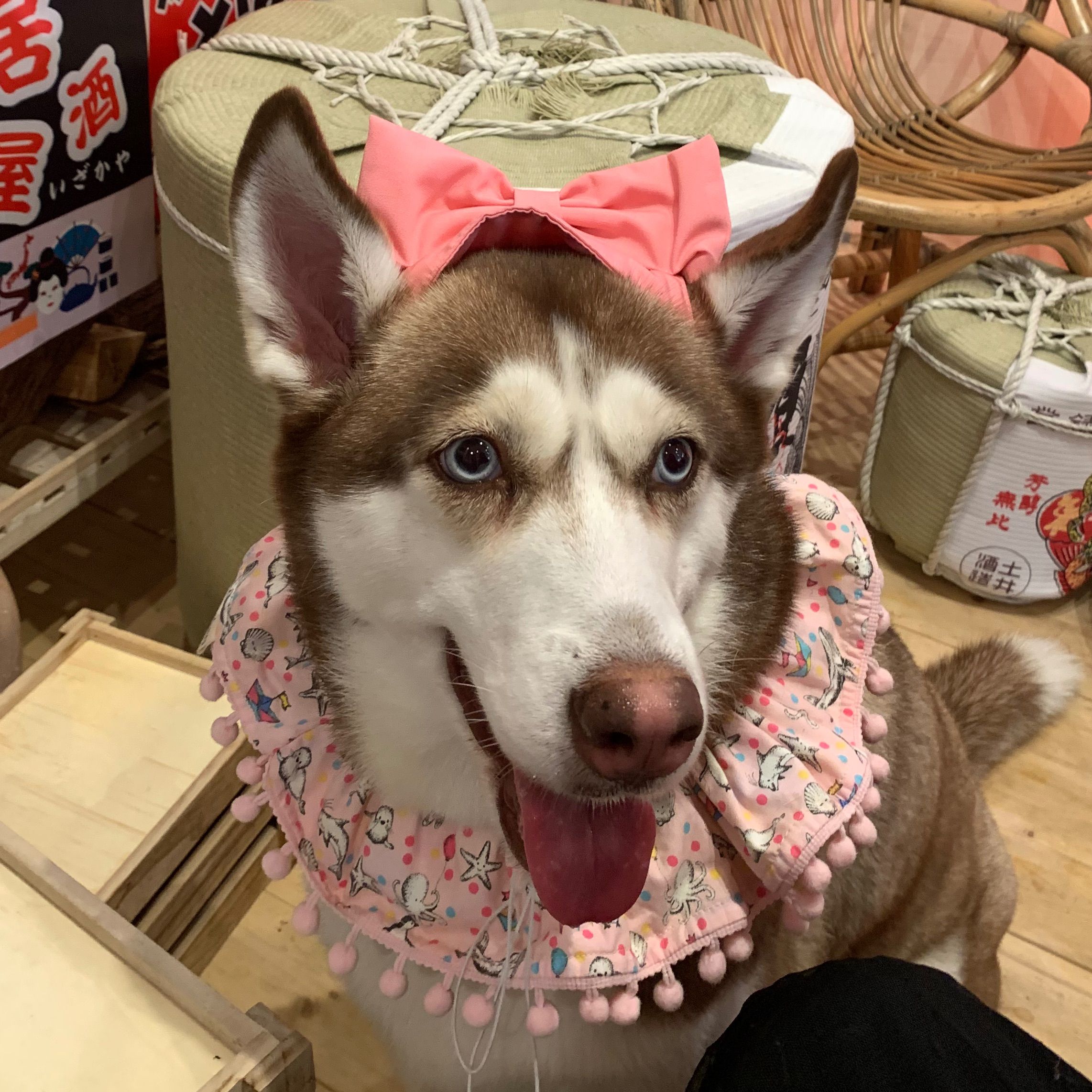 Yurii
