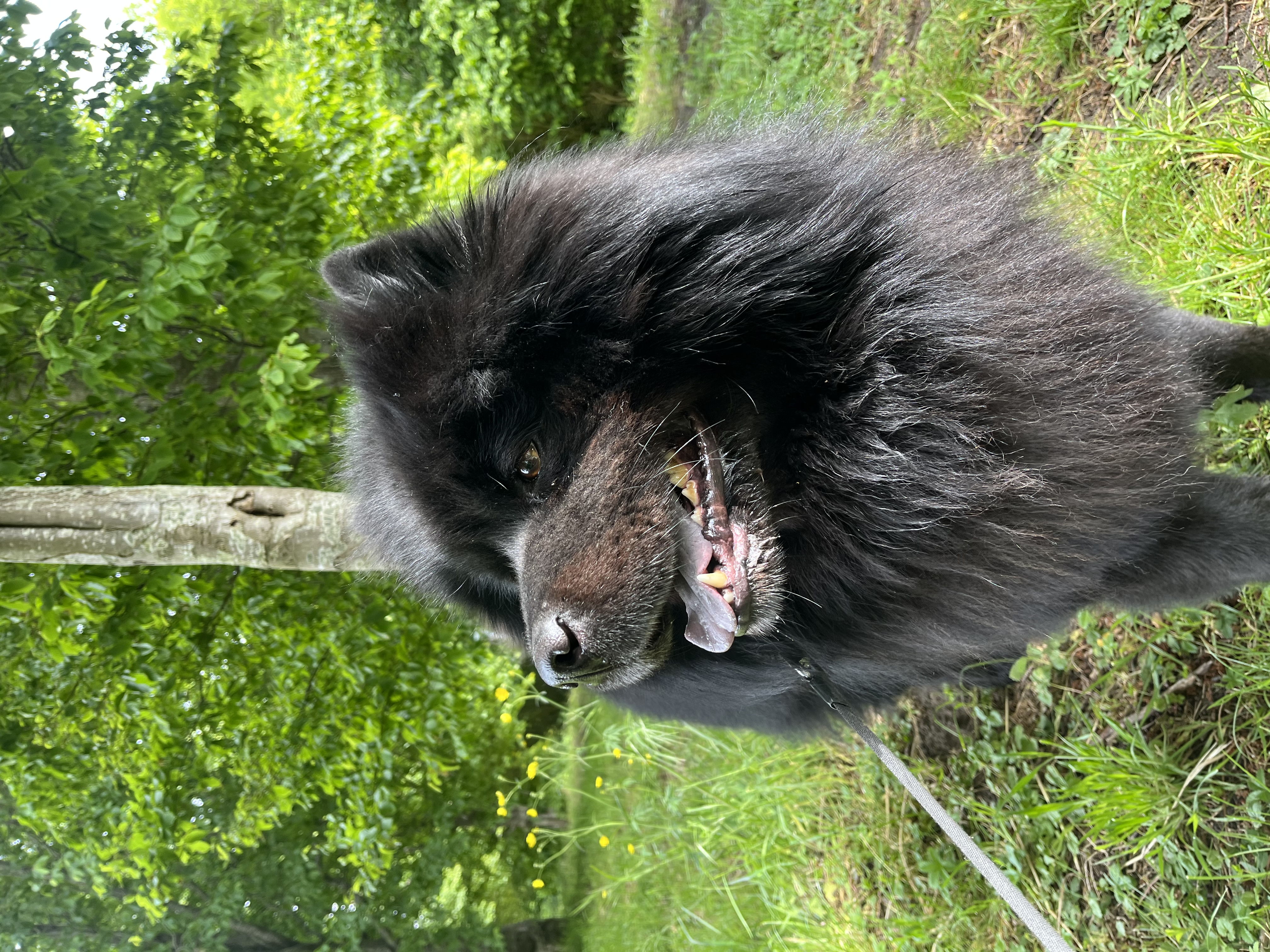 image-11
