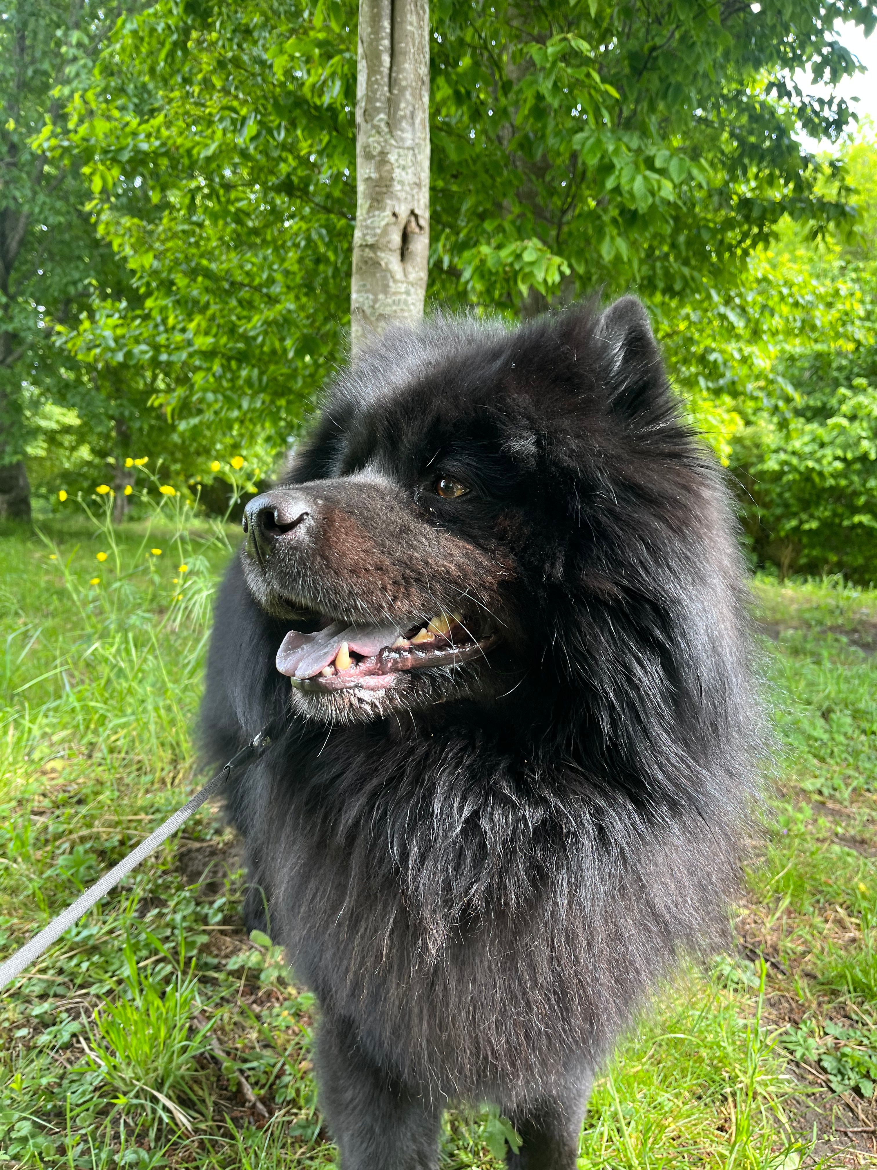 image-11