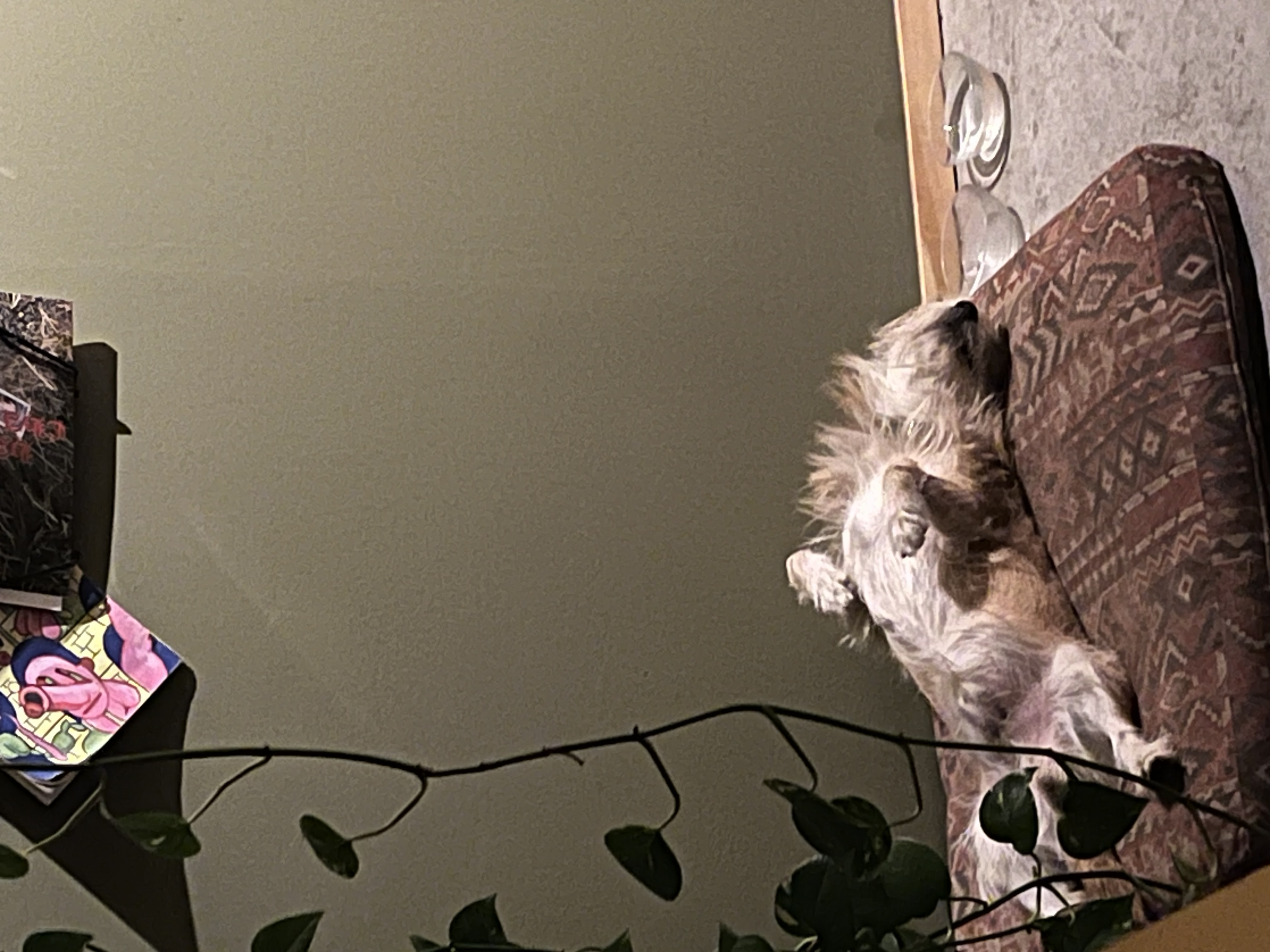 image-8
