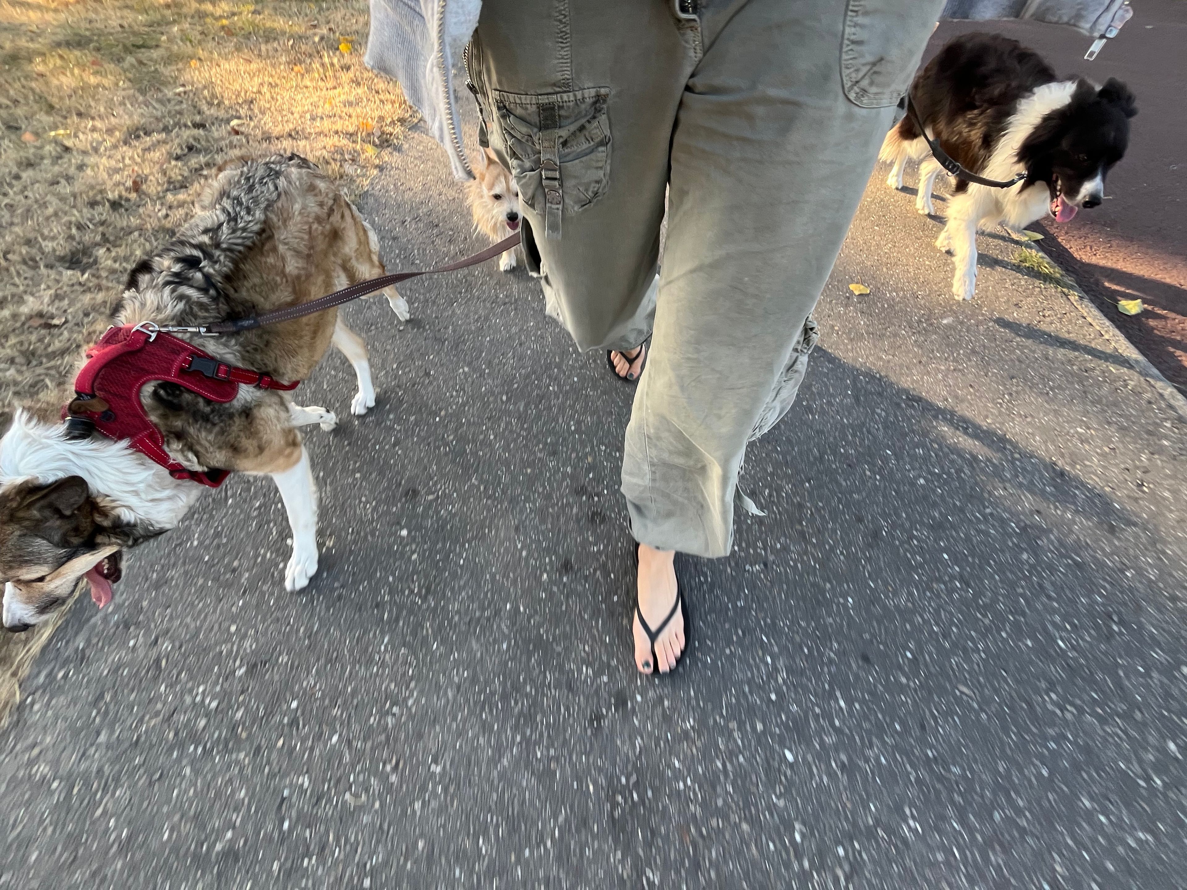 image-18