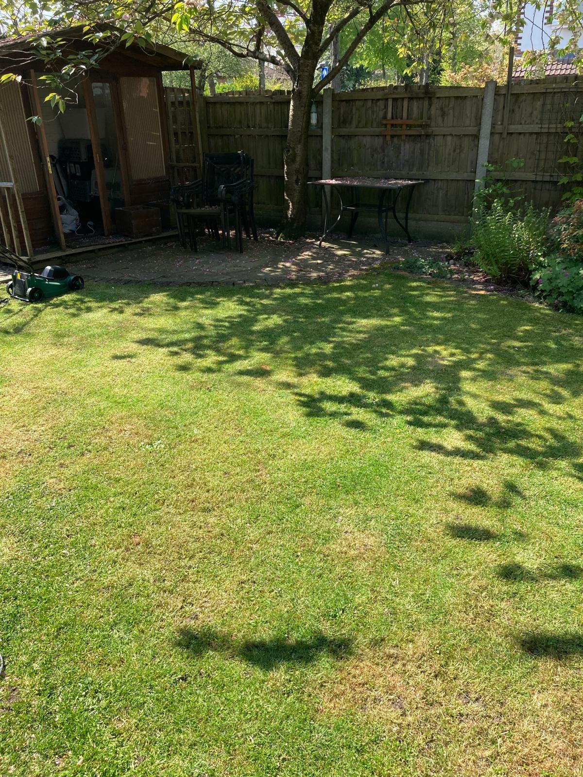 image-18