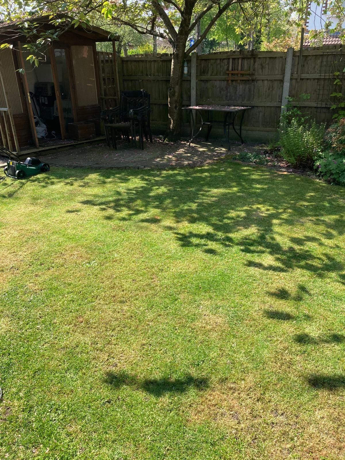 image-18