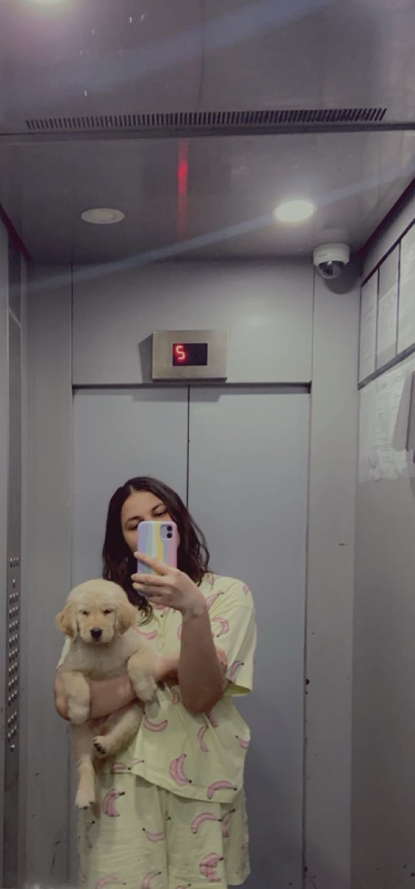 image-7
