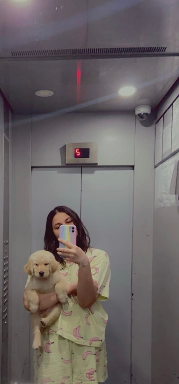 image-7