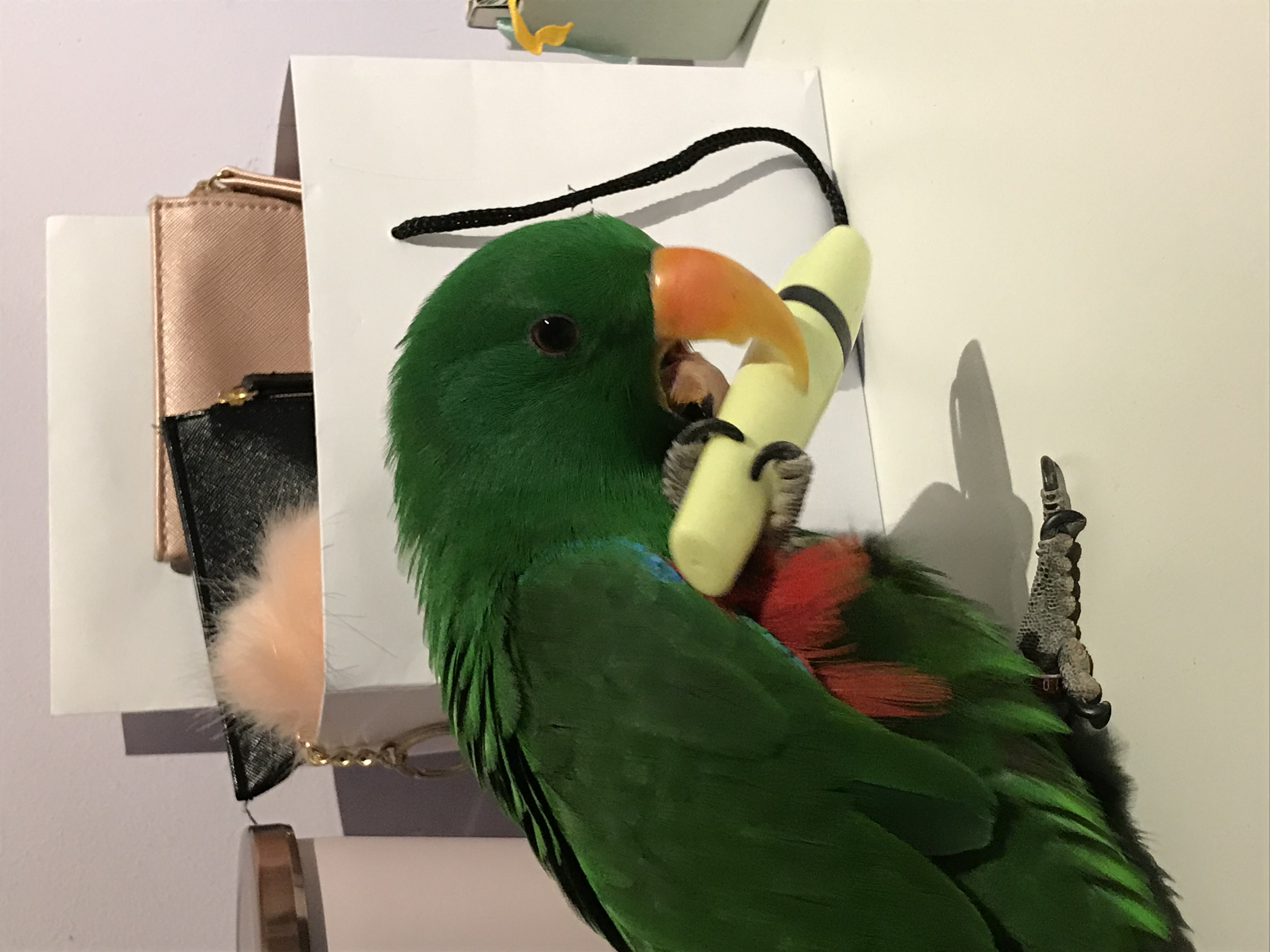 image-6