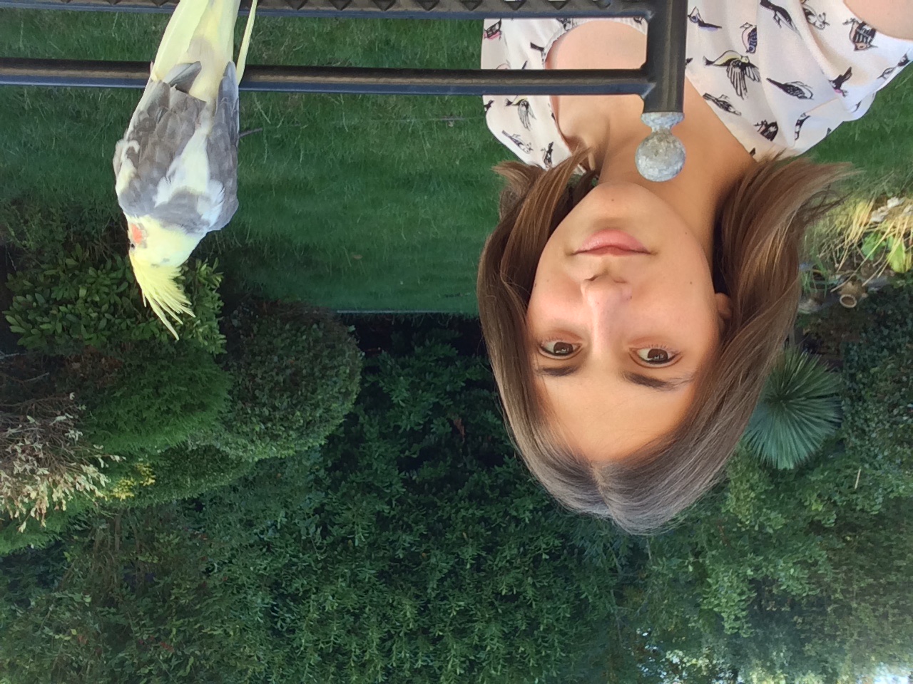 image-0