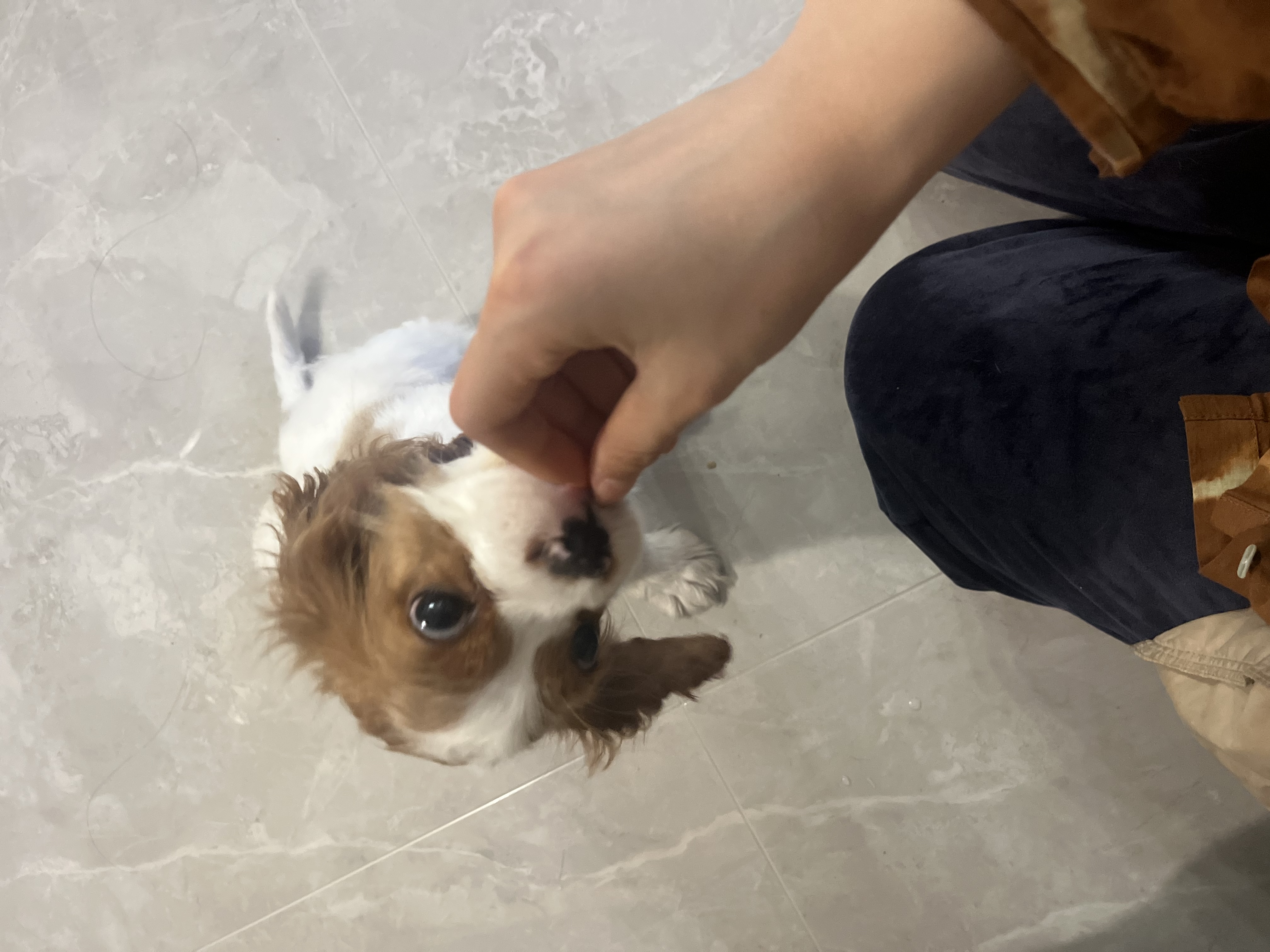 image-6