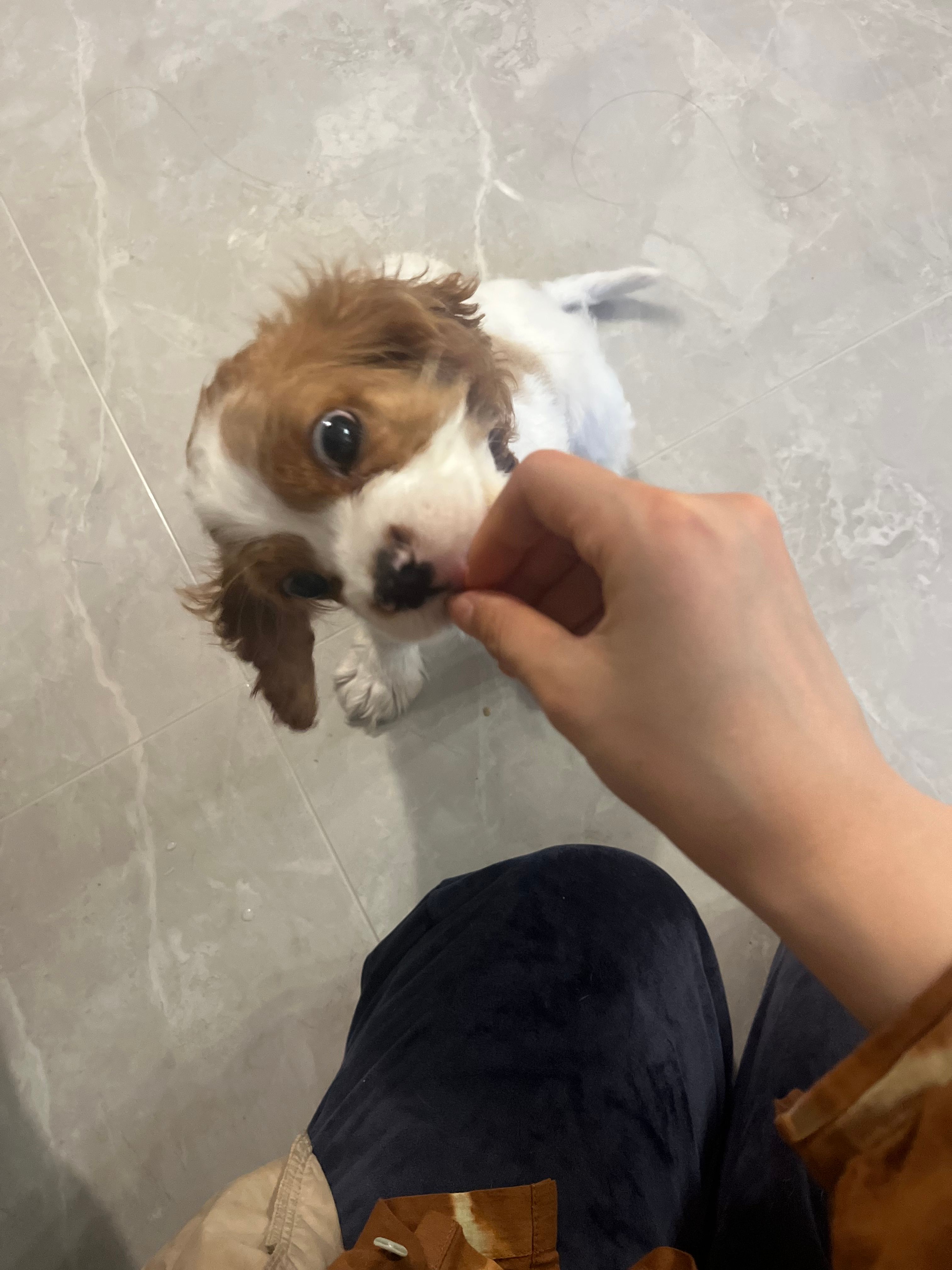 image-6