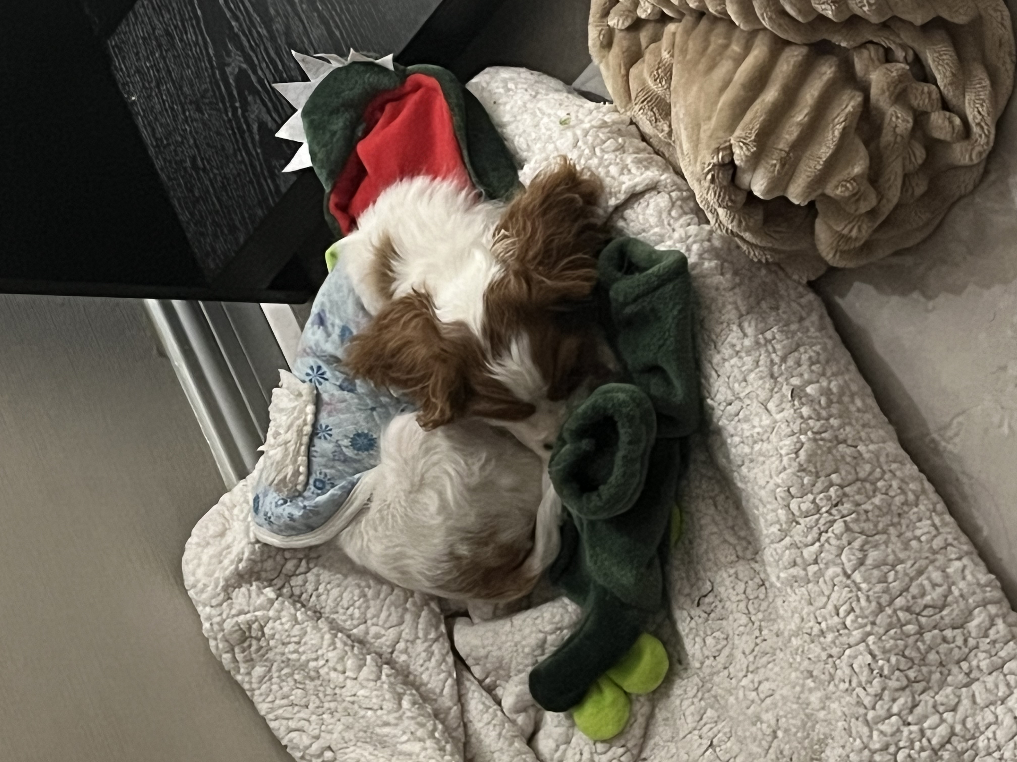 image-10