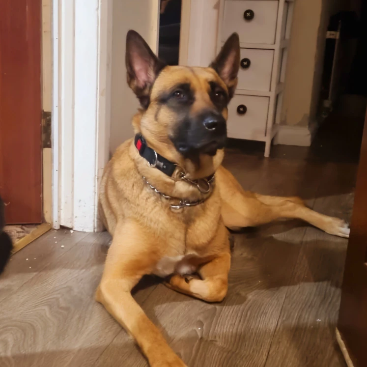Wednesday 