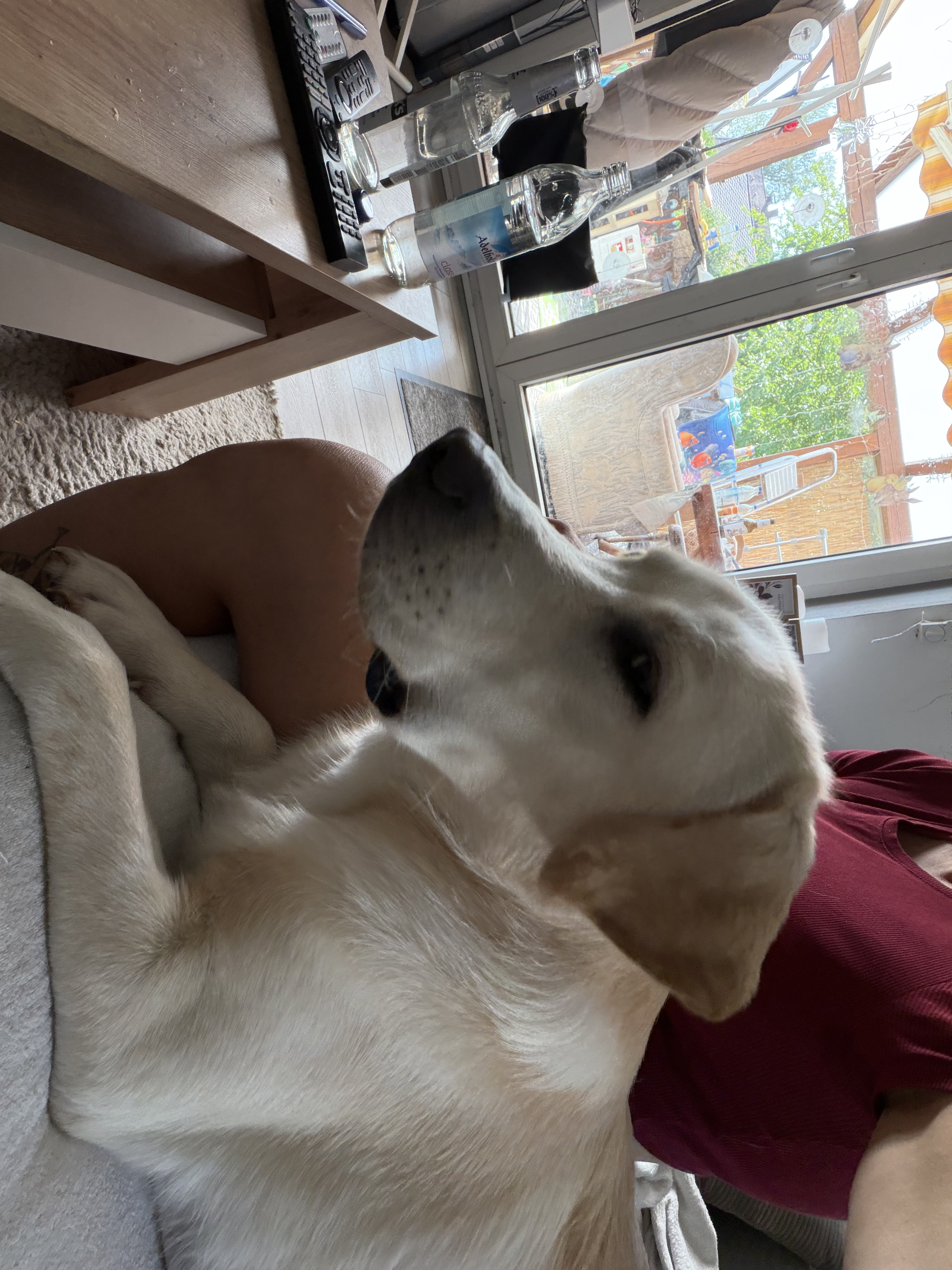 image-7