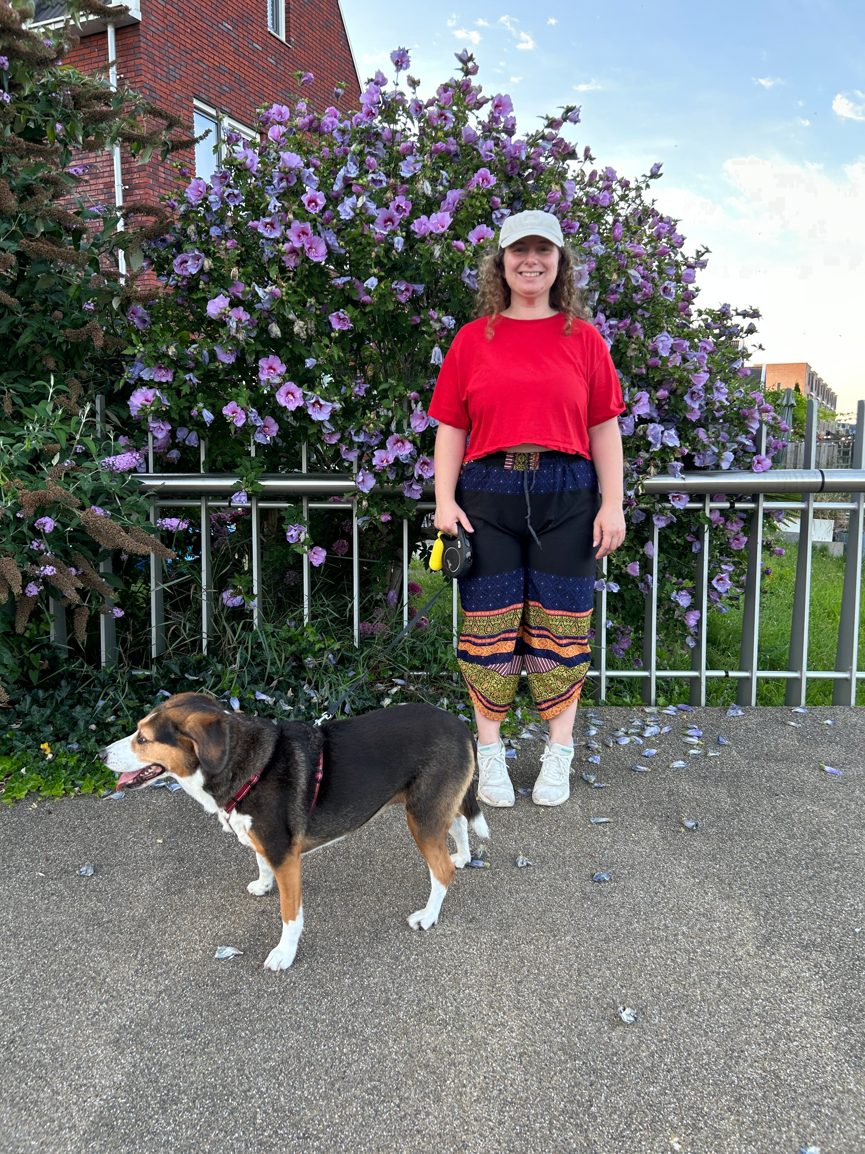 image-10
