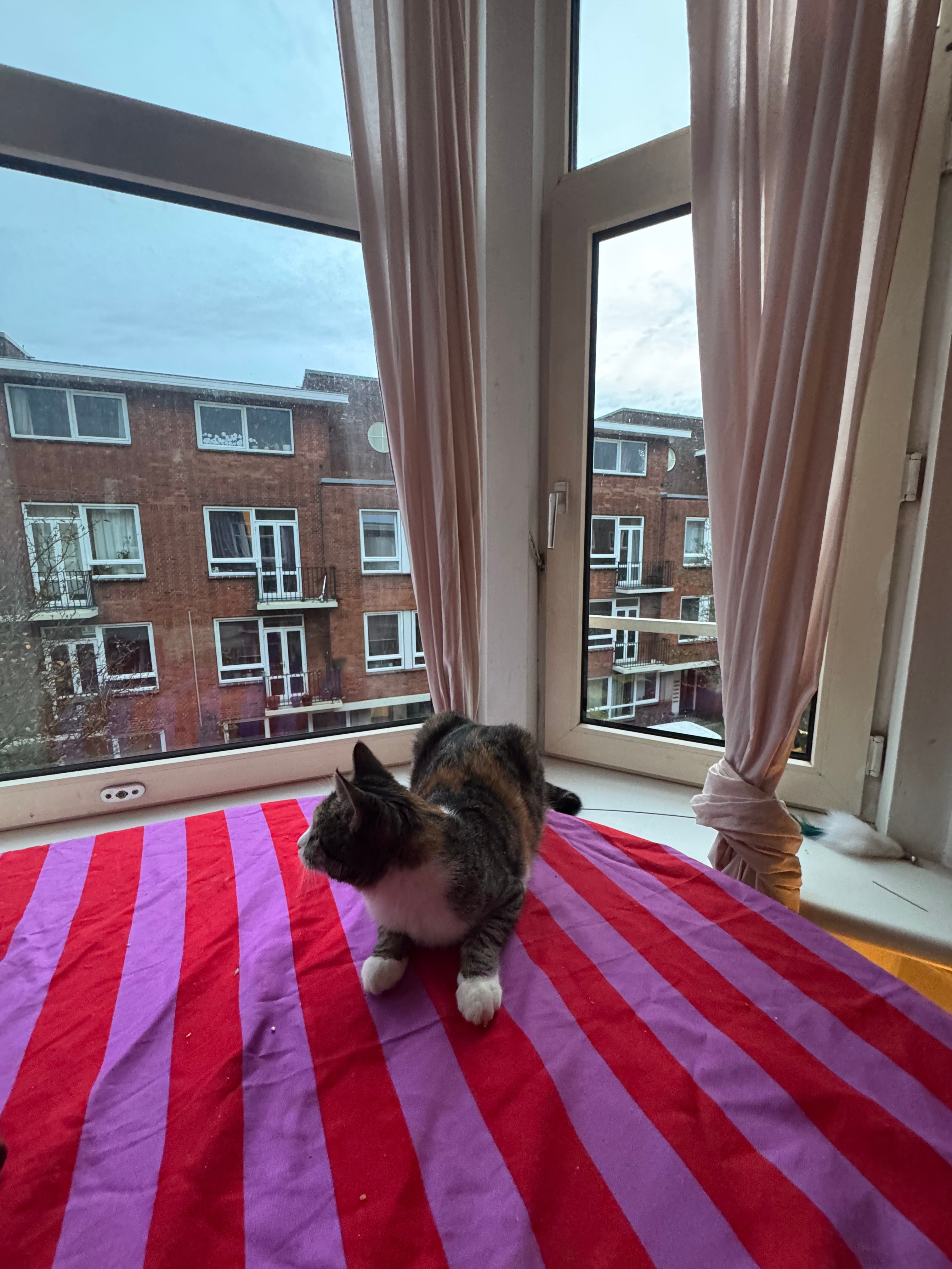 image-12