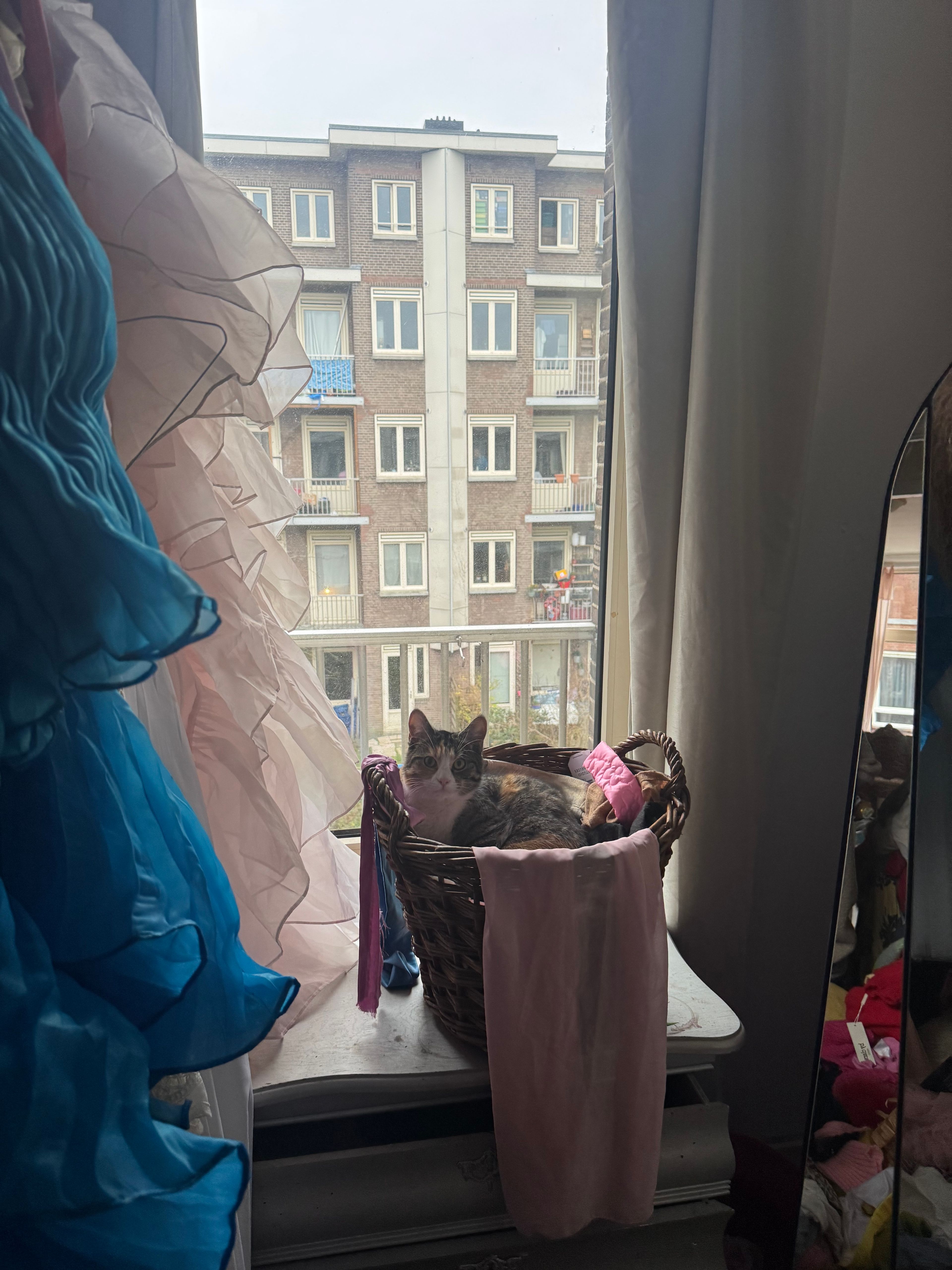 image-11
