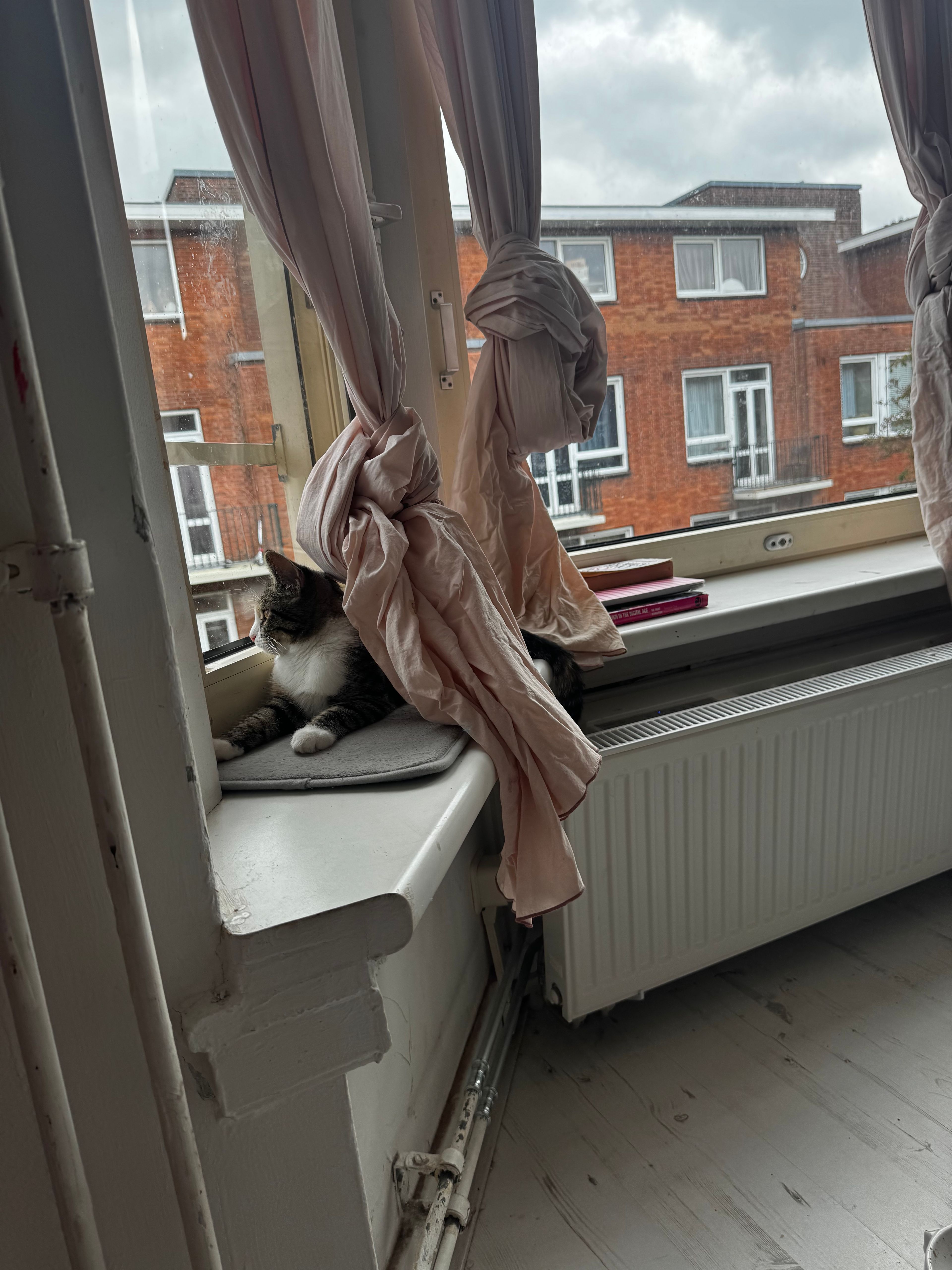 image-14