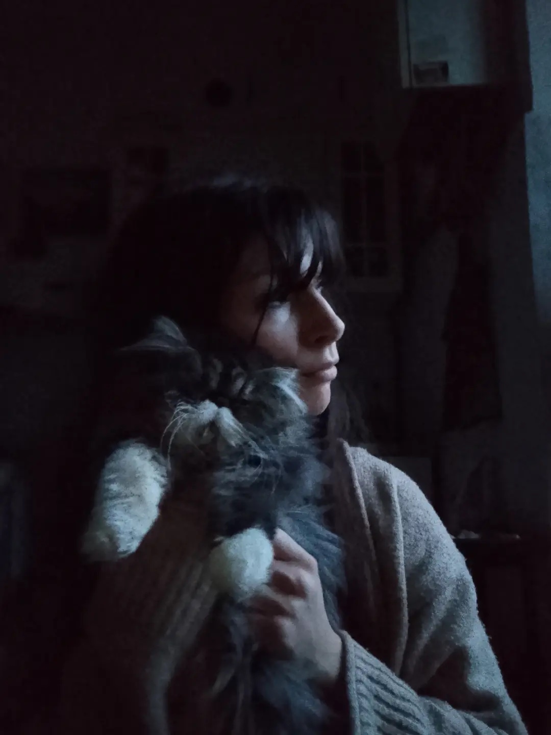 image-5