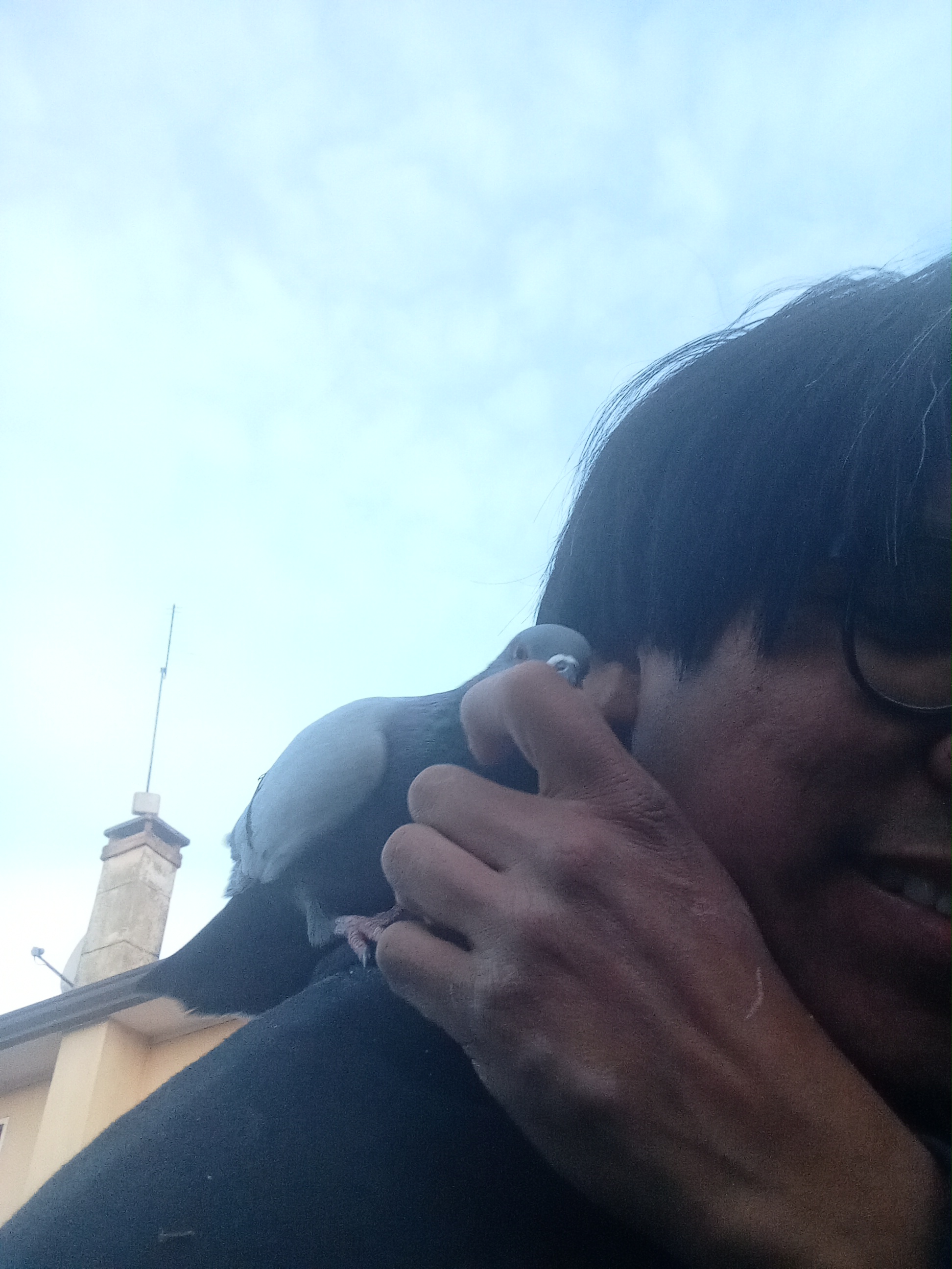 image-9