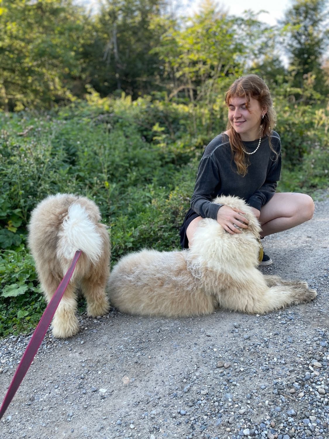 image-0
