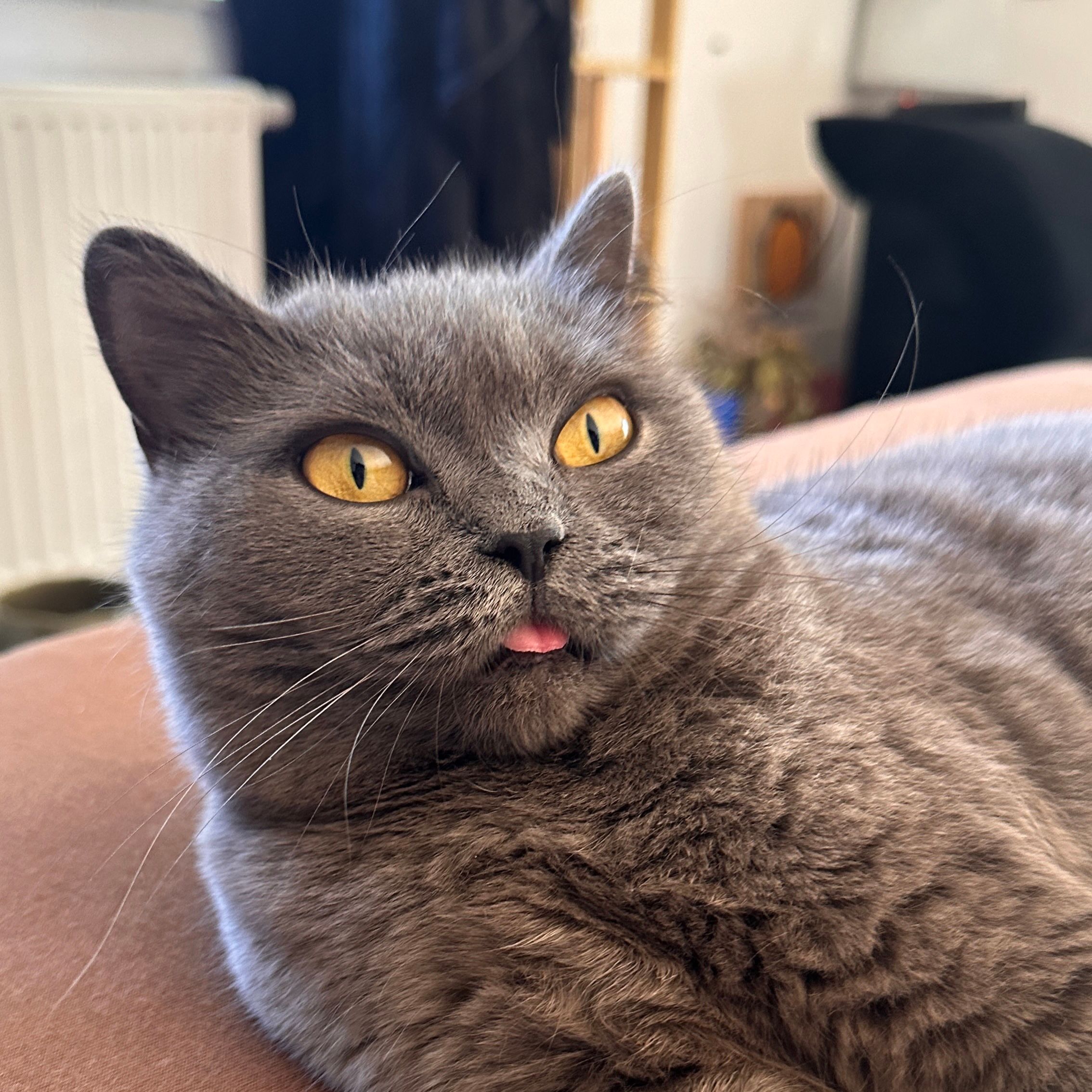 Akyra