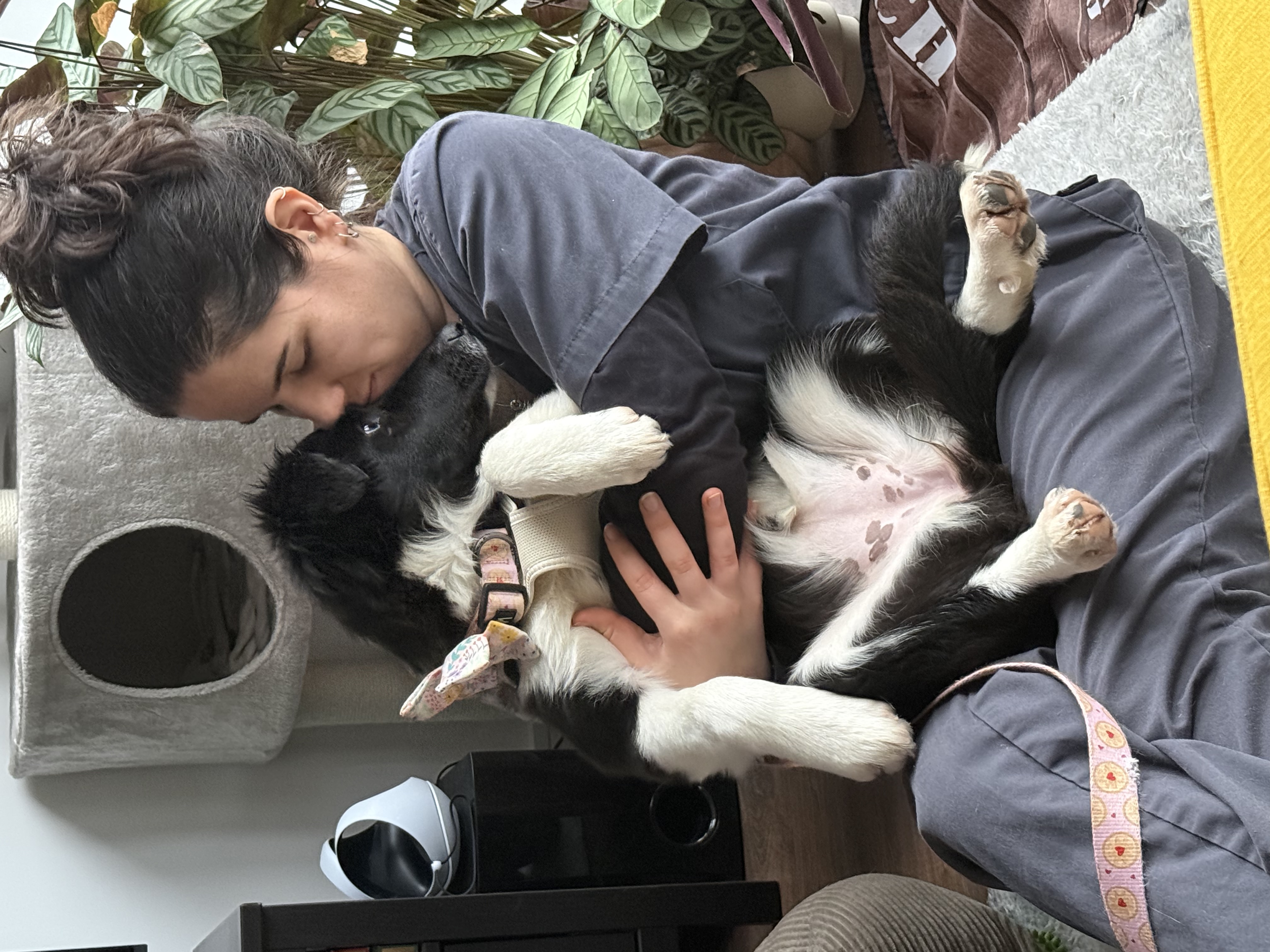 image-6